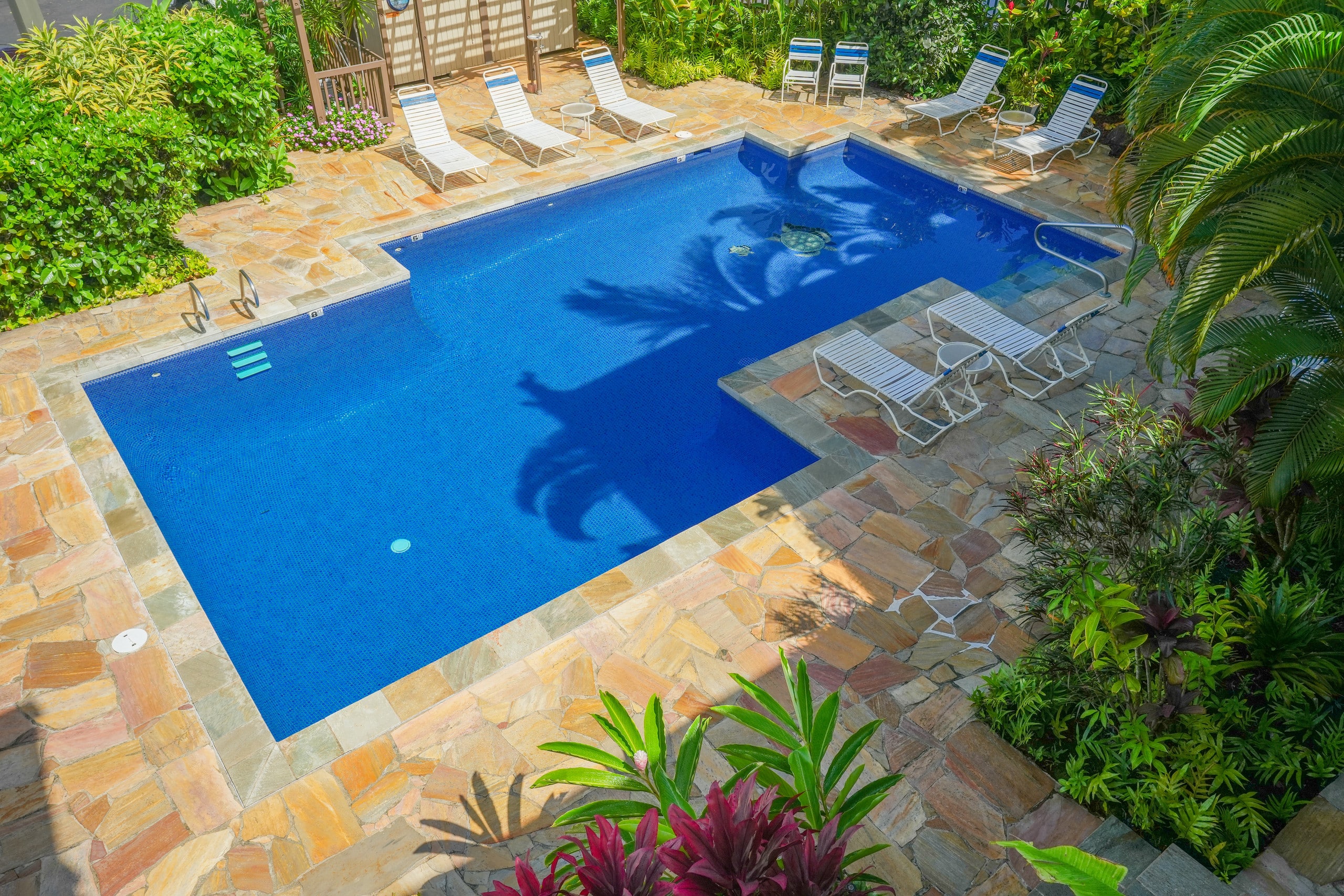Condo in Kapaa · ★4.93 · 1 bedroom · 2 beds · 1 bath - Image 49