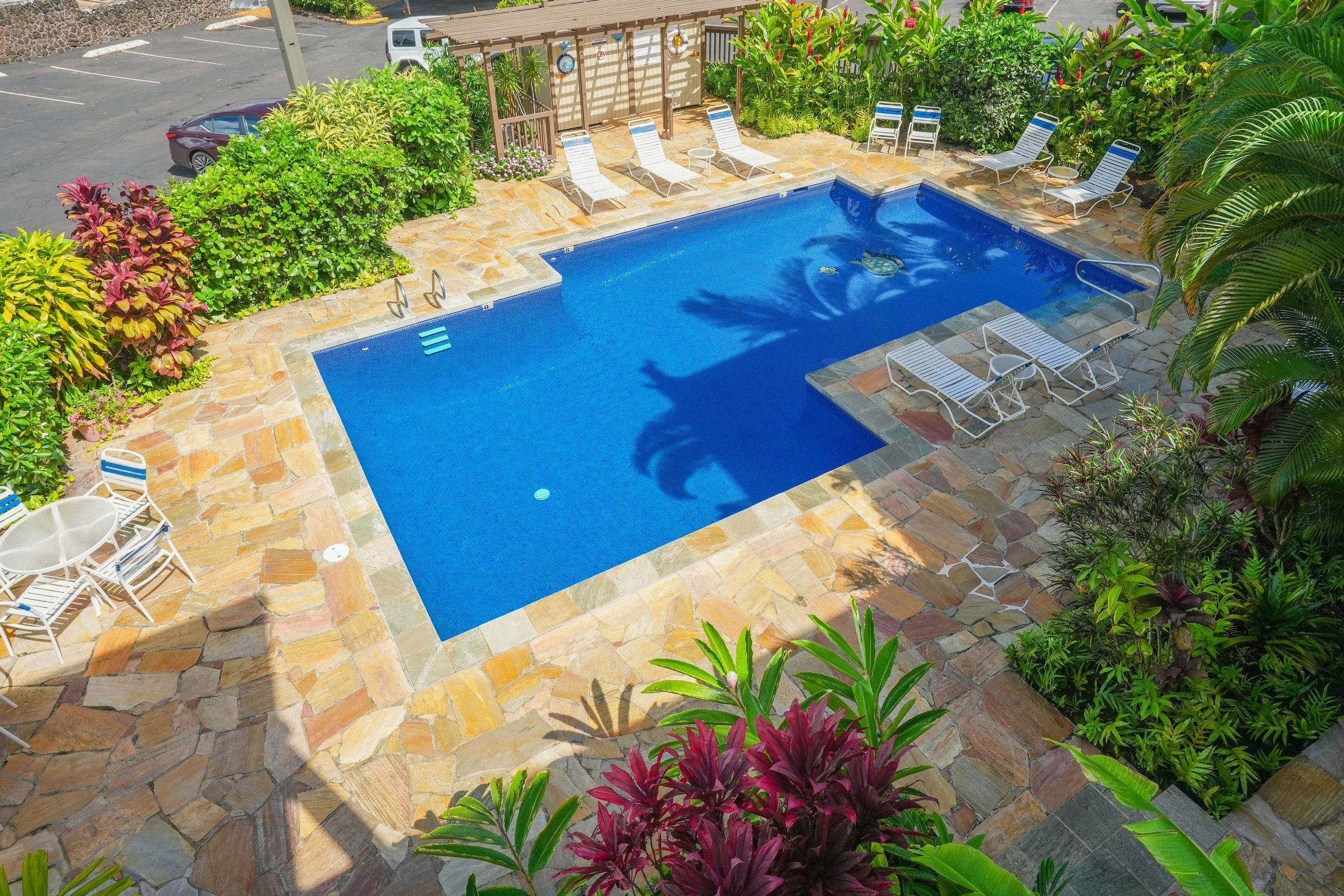 Condo in Kapaa · ★4.93 · 1 bedroom · 2 beds · 1 bath - Image 50