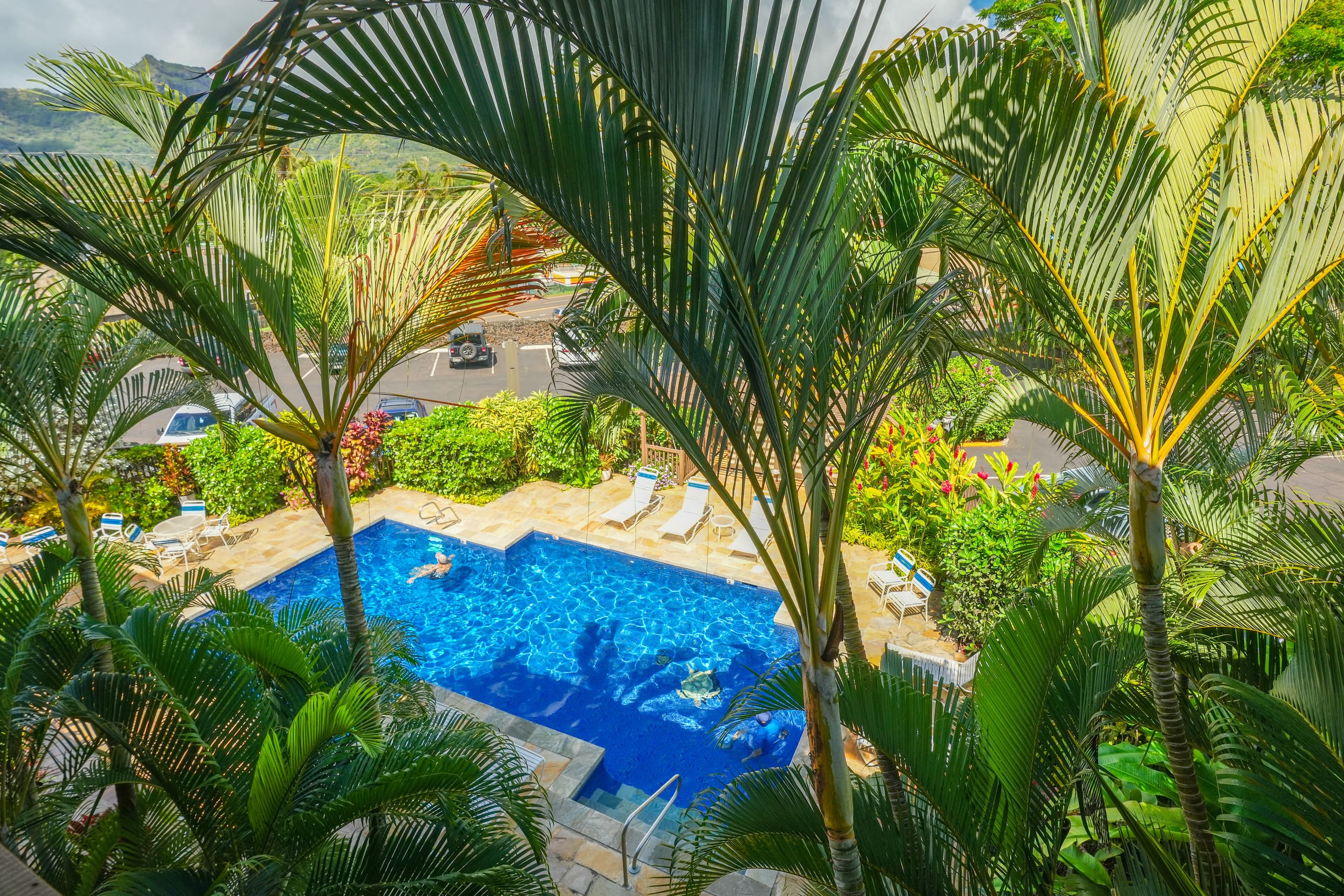 Condo in Kapaa · ★4.93 · 1 bedroom · 2 beds · 1 bath - Image 48