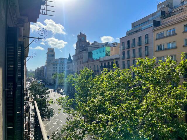 Just perfect for visiting. gallery image 2