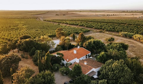 Lobeira - Centenary country house and gardens