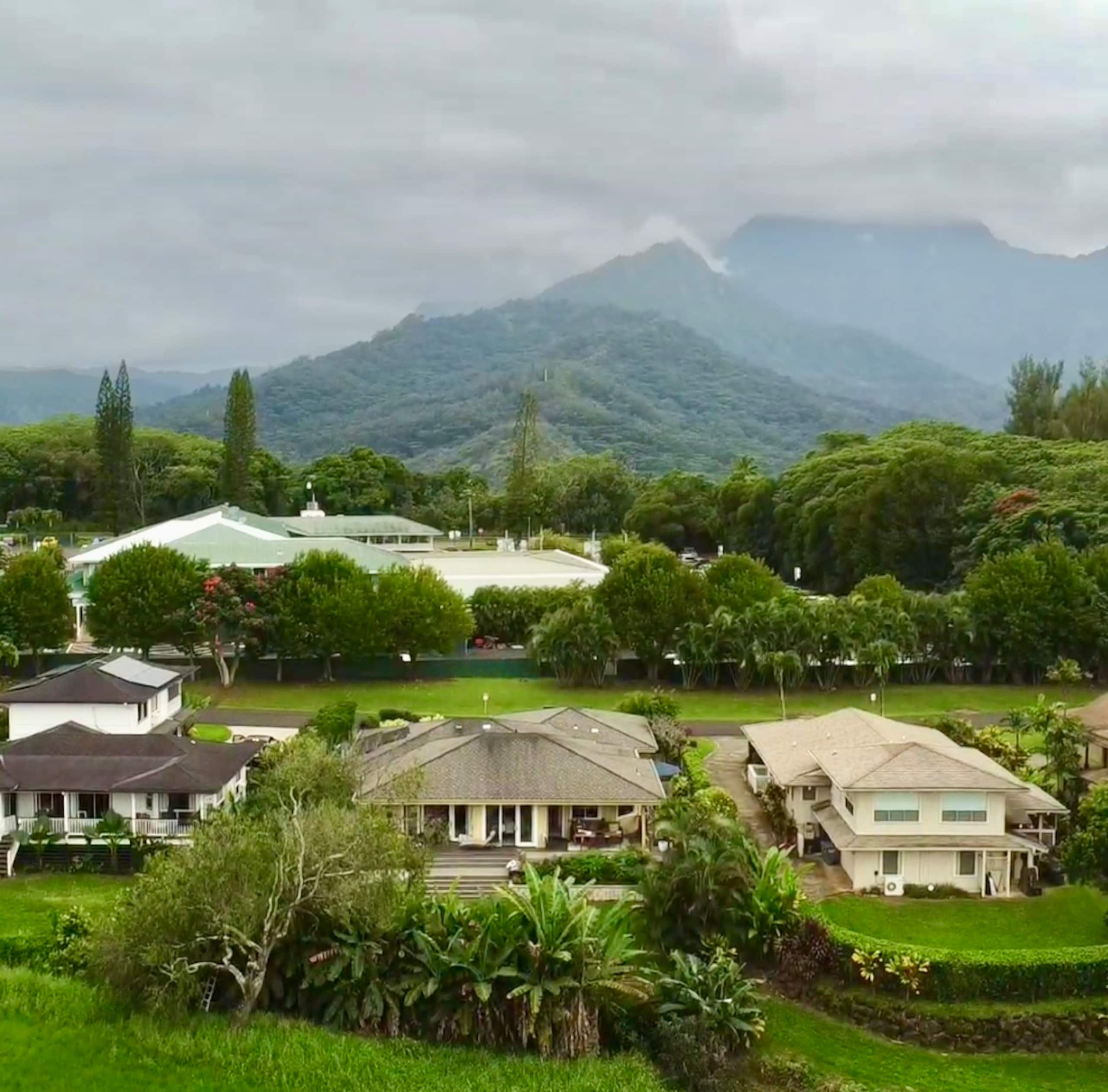 Tropical Escape | King Suite & Gear, North Shore - Photo 3