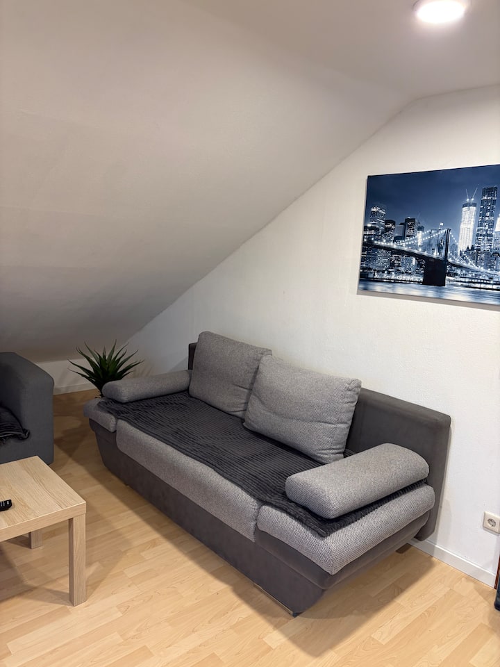 Ganze Wohnung  Mit Klima - Rastatt