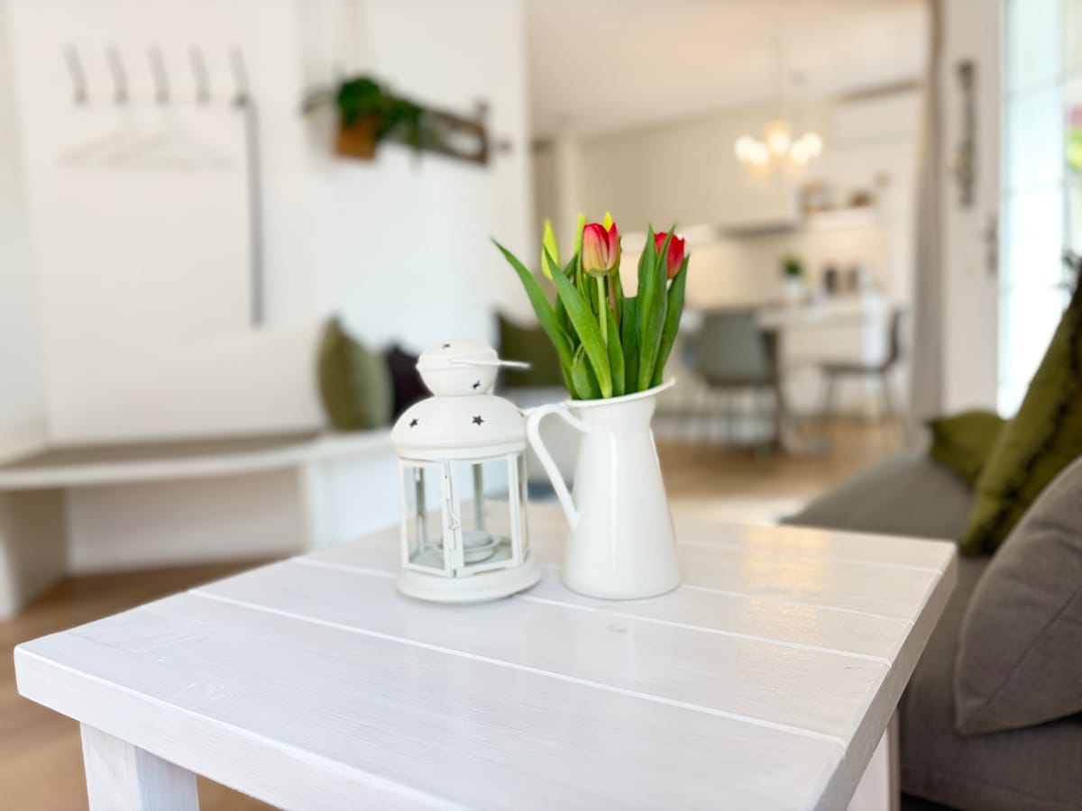 Successful Airbnb property: Apartment with a view of Lake Maggiore in Gambarogno
