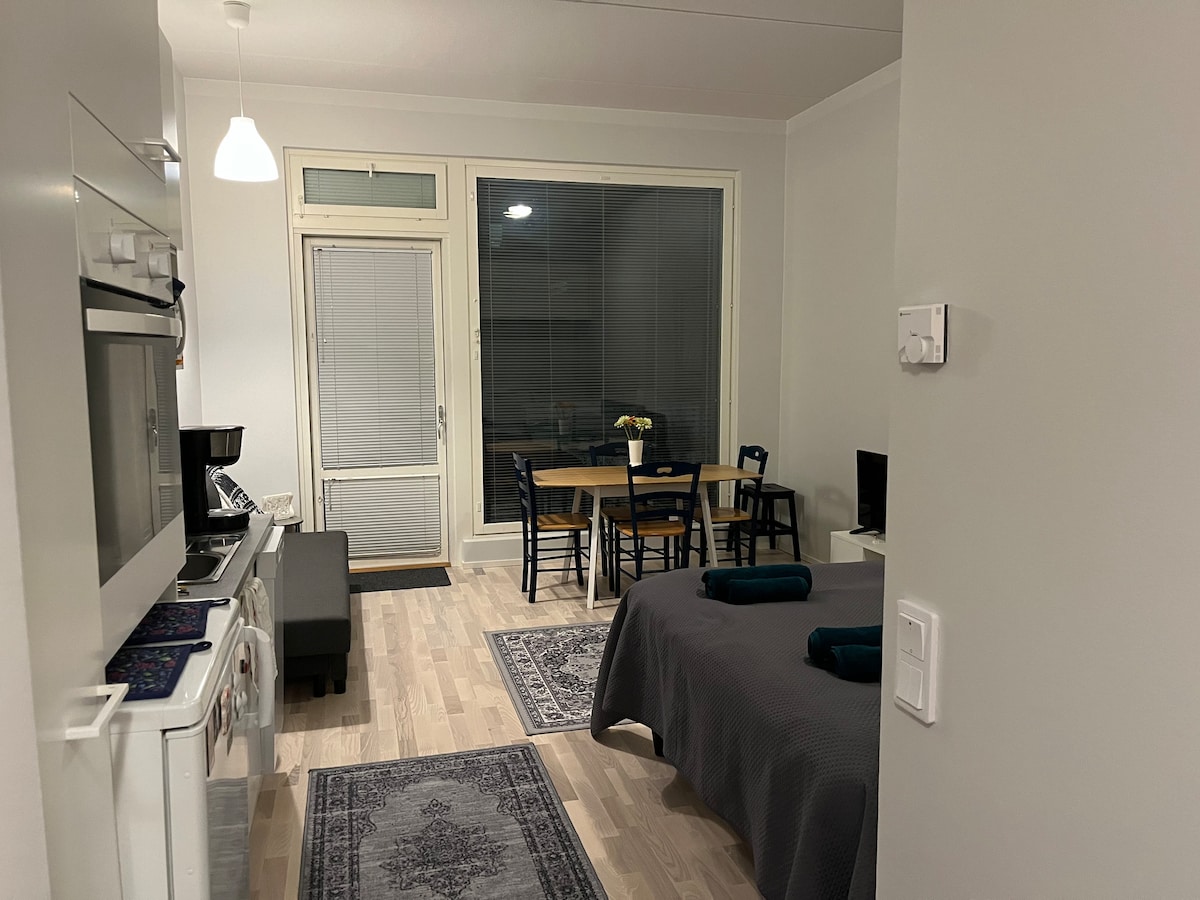 A modern studio apartment showcases a functional kitchen with built-in appliances. A spacious bed is visible in the foreground, accompanied by soft towels. A dining area for four is situated near large windows, allowing natural light to fill the room, contrasting with tasteful area rugs.