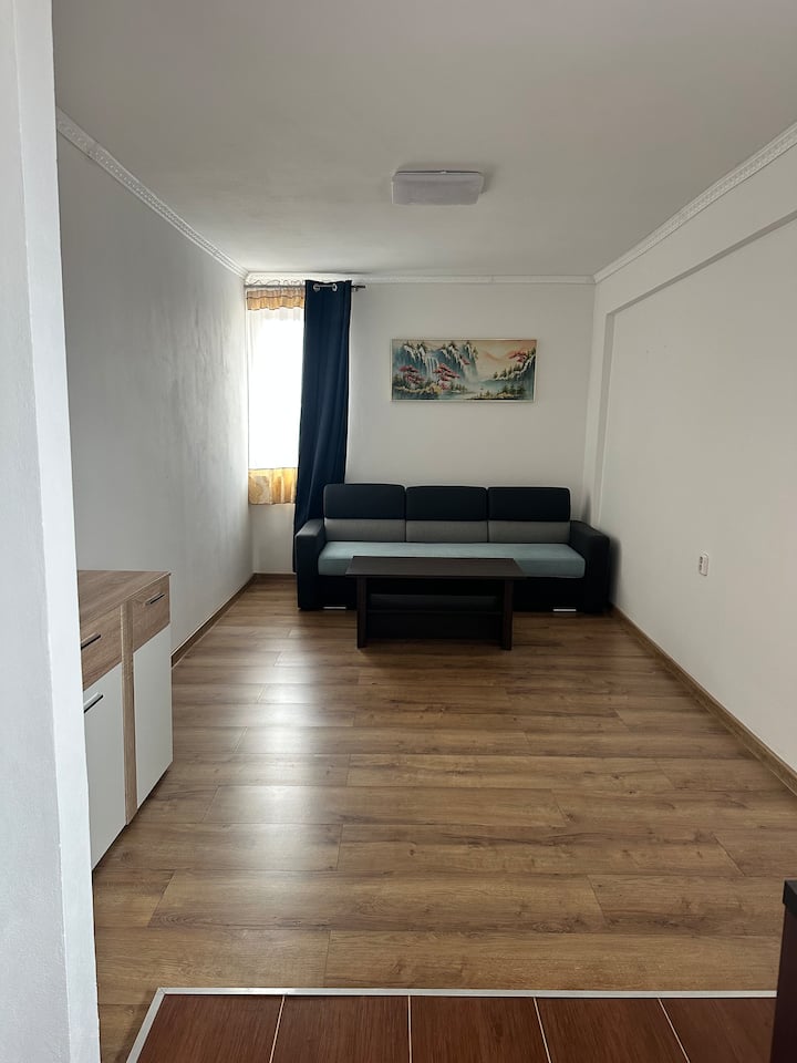 ÚTulný Apartmán-centrum-karlovy Vary - 卡羅維瓦利