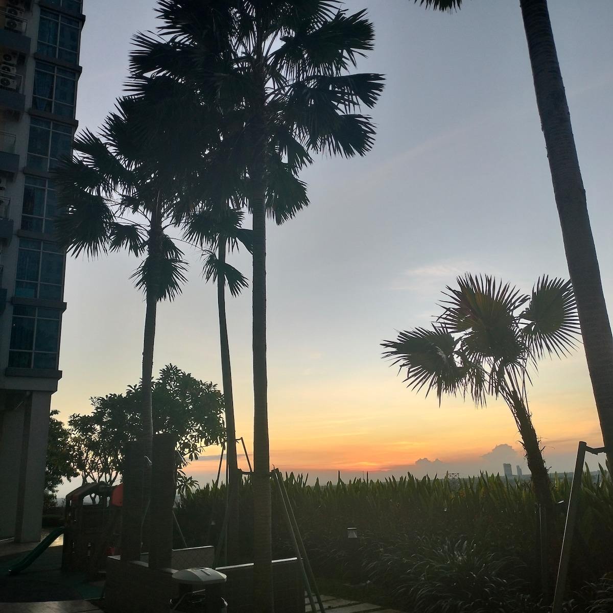 Tall palm trees are silhouetted against a colorful sunset, with faint mountains visible in the distance. The lush greenery below complements the tranquil scene, suggesting a peaceful outdoor area that invites relaxation.