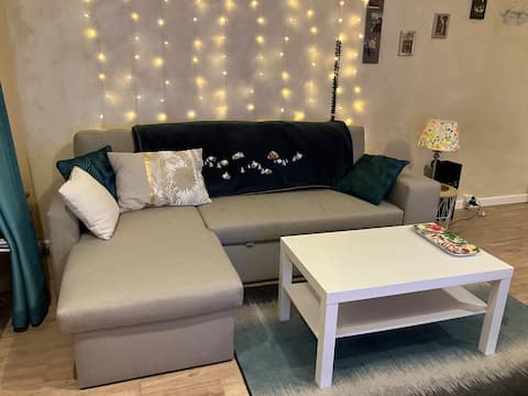 Top performing Airbnb: Sablons - heart of the city ❤️🚶 in Fontainebleau