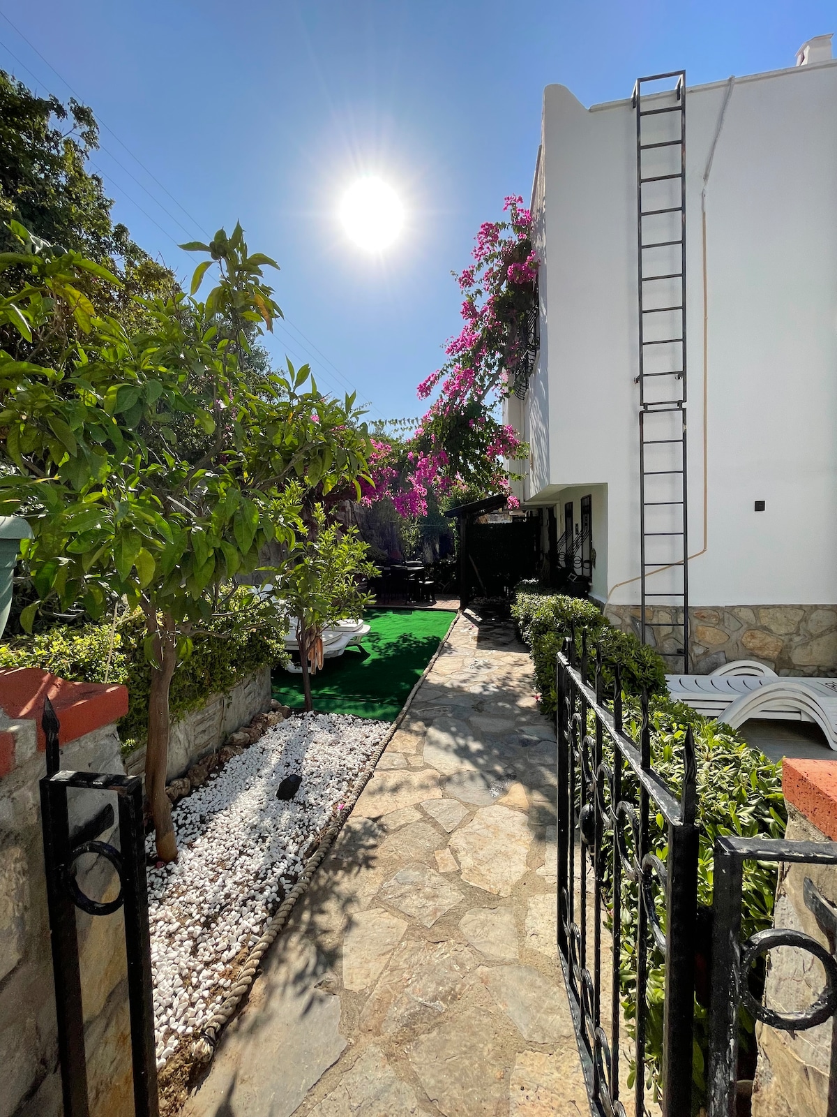 A sunlit pathway leads through a manicured garden featuring lush greenery and flowering vines. The stone walkway is bordered by decorative pebbles and a tall white wall. A ladder is visible alongside the building, adding to the garden's structure.