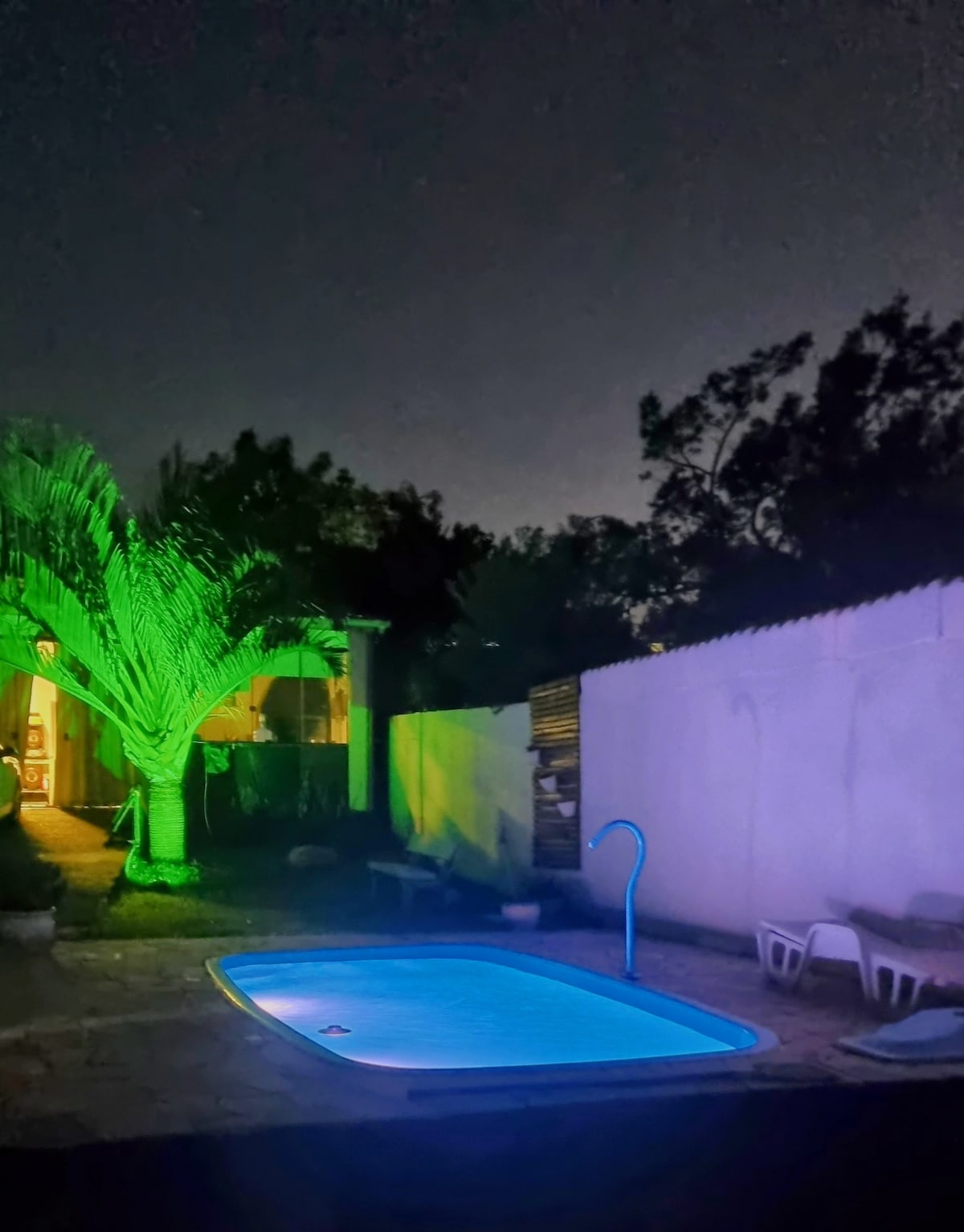 An illuminated pool reflects soft blue hues, surrounded by greenery and a white wall. A tall palm tree casts vibrant green light, adding color to the serene outdoor area. The entrance to the studio house is visible in the background, blending with the natural surroundings.