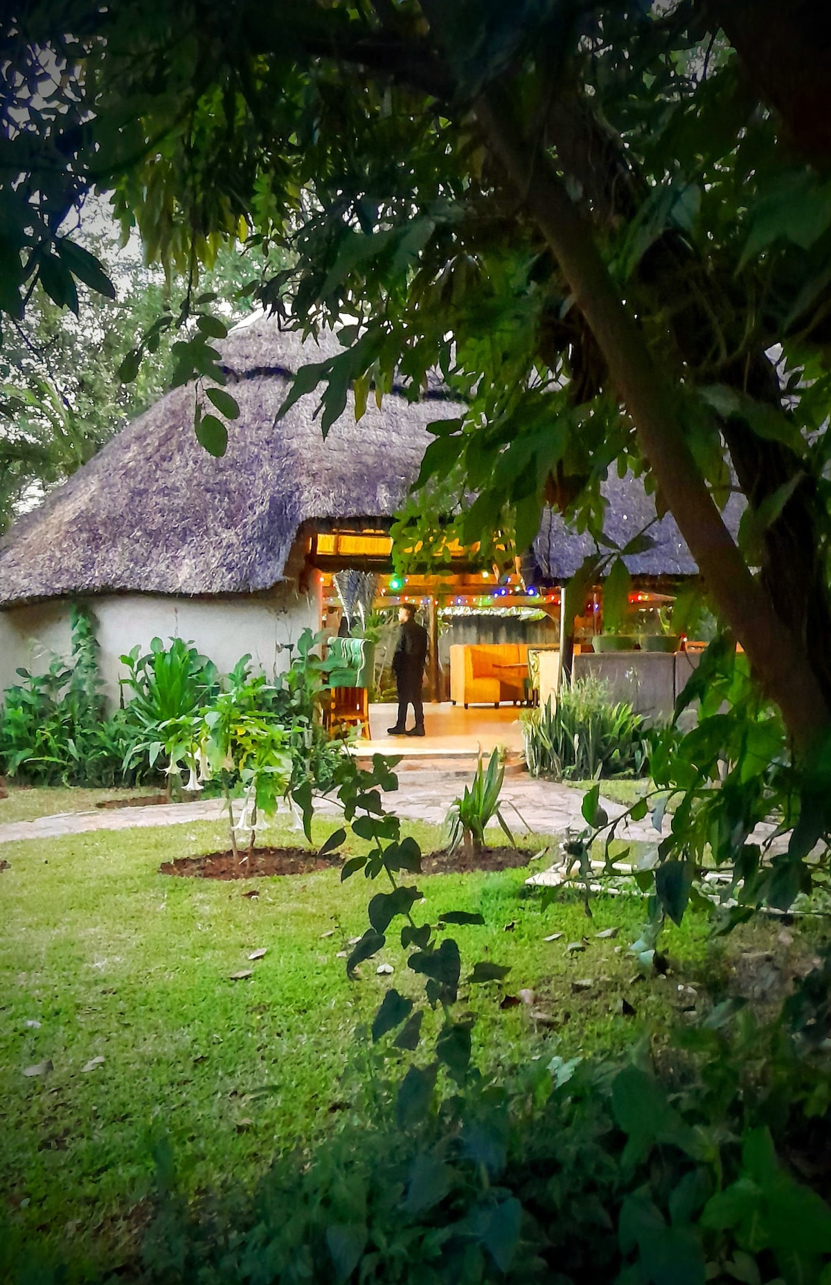 The exterior of a charming thatched cottage is visible, surrounded by lush greenery. Soft evening lights can be seen illuminating the entrance, creating a peaceful ambiance. The well-maintained pathway leads towards the inviting entrance, framed by vibrant plants and trees.
