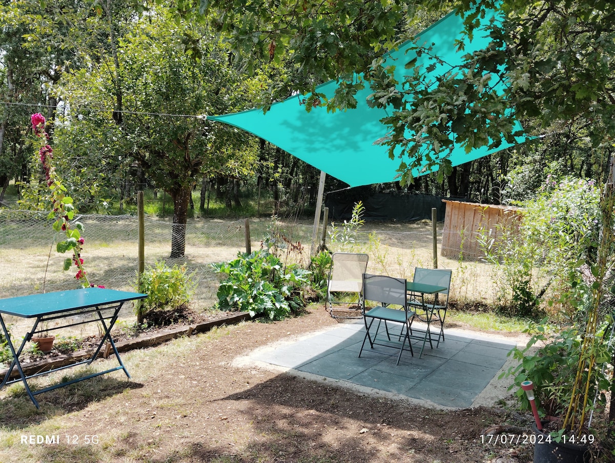 An outdoor seating area is shaded by a large blue canopy, featuring a rectangular table and several chairs arranged on a stone patio. Surrounding greenery and a flowering plant add a natural touch, while a fence delineates the area from the open field beyond.