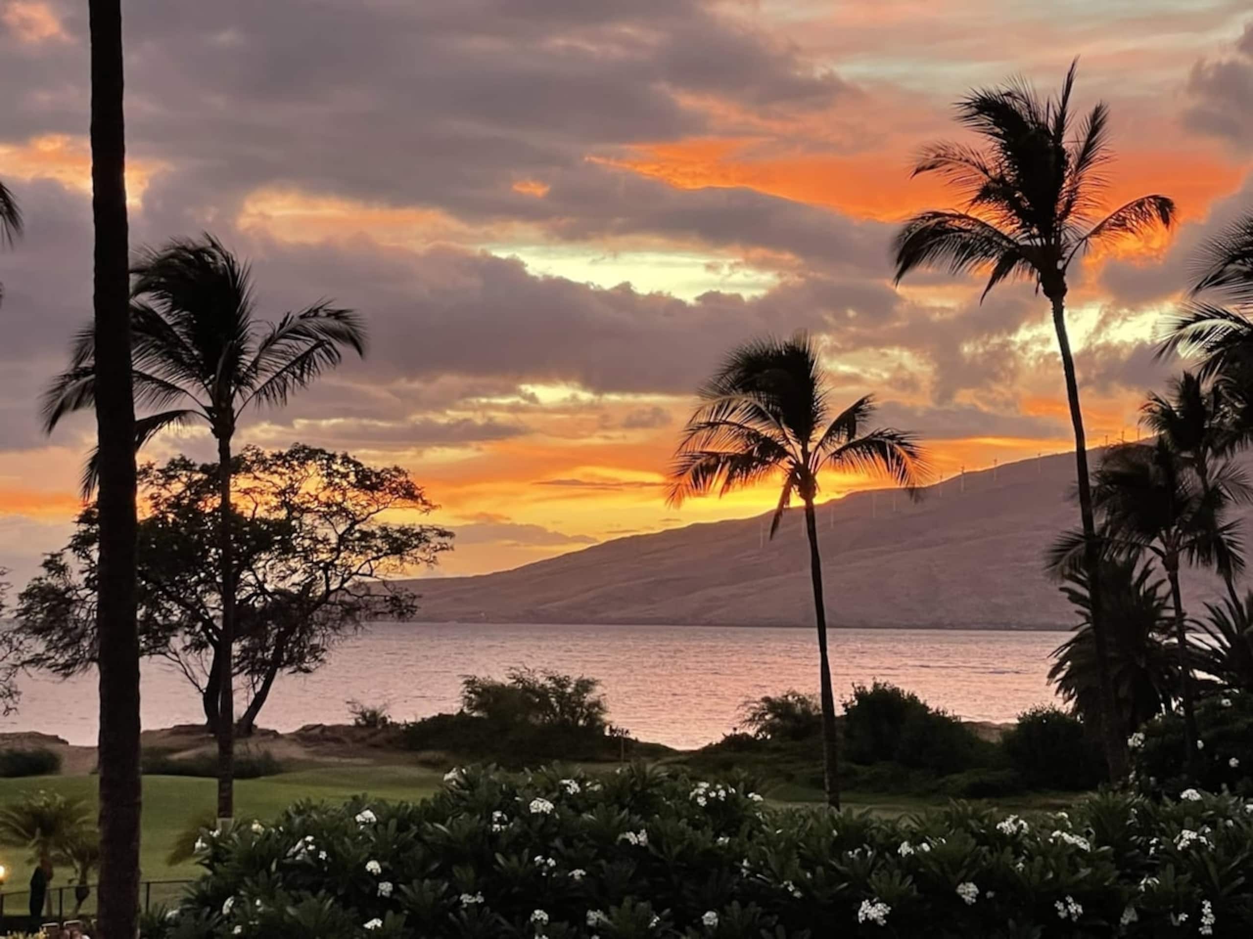 Condo in Kihei · ★4.91 · 2 bedrooms · 3 beds · 2 private baths - Image 48