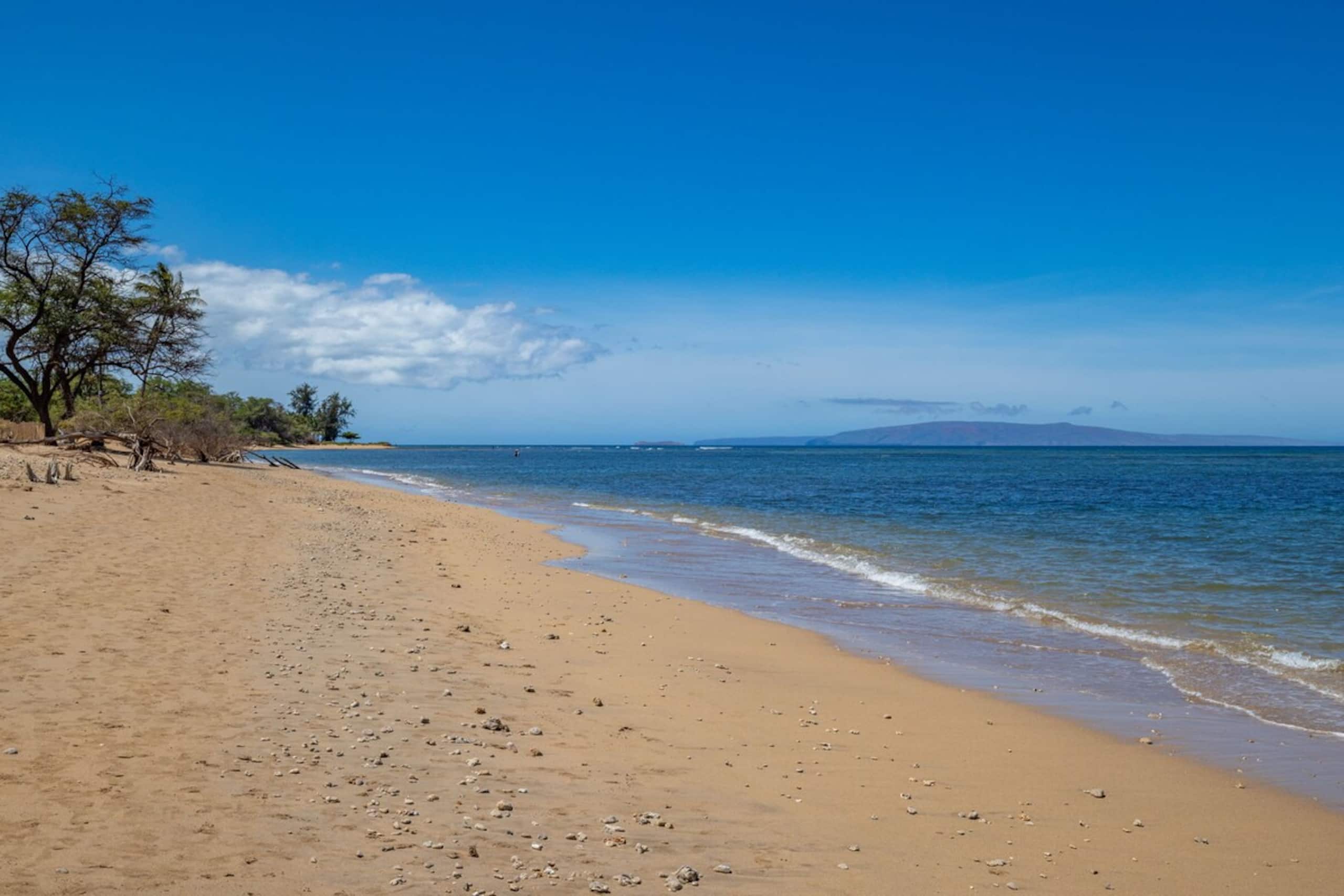 Condo in Kihei · ★4.91 · 2 bedrooms · 3 beds · 2 private baths - Image 50