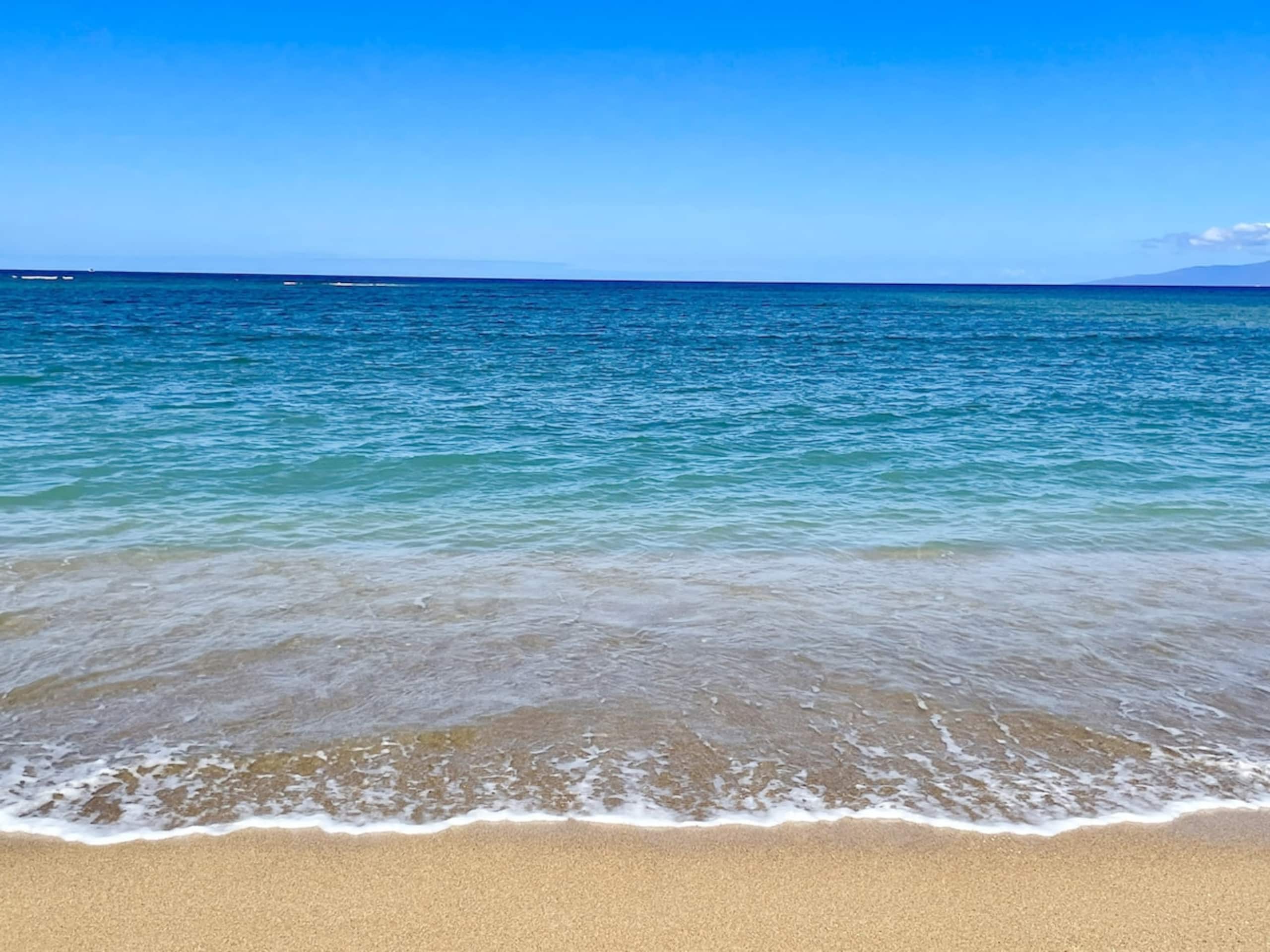 Condo in Kihei · ★4.91 · 2 bedrooms · 3 beds · 2 private baths - Image 49