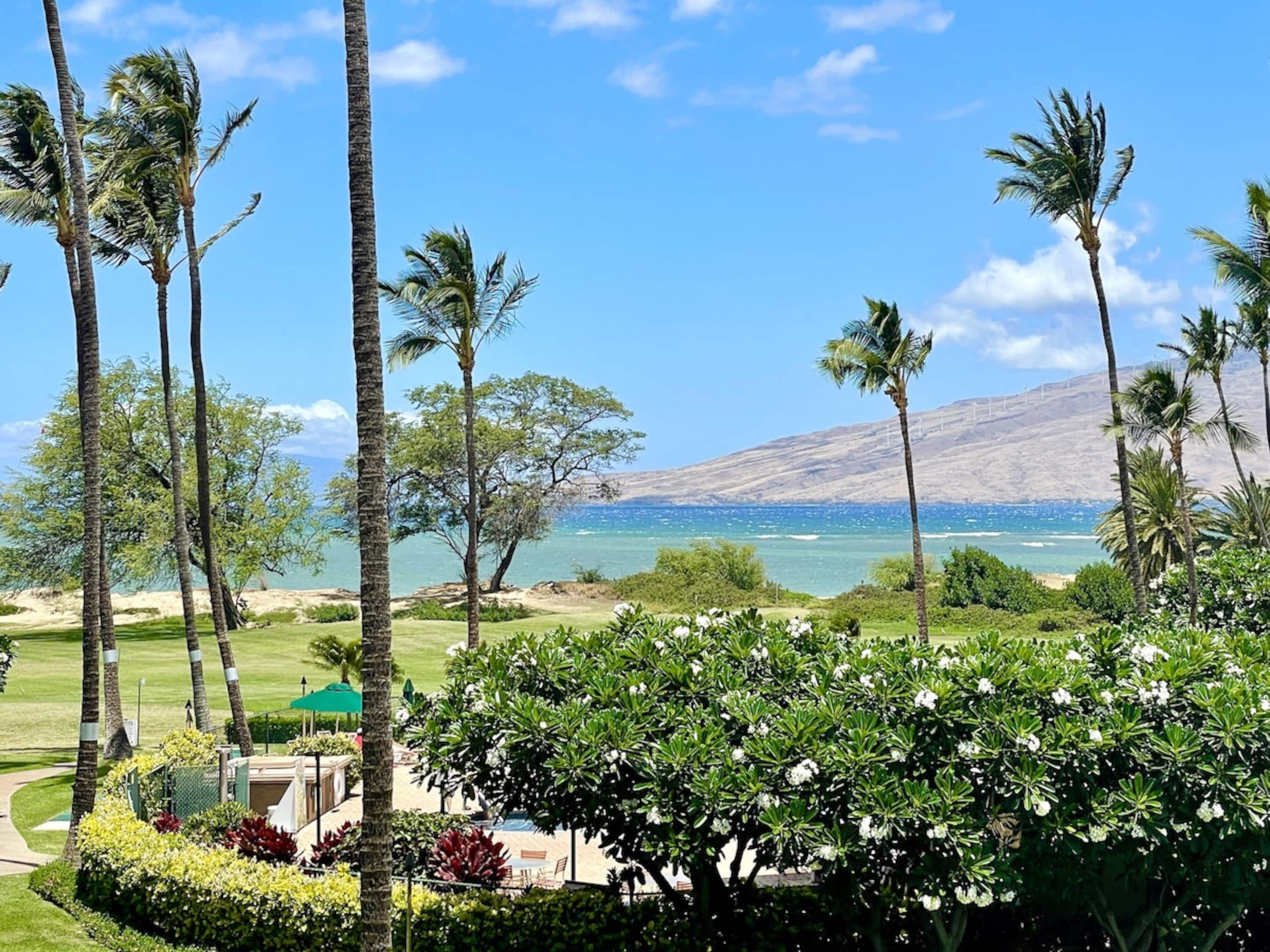 Condo in Kihei · ★4.91 · 2 bedrooms · 3 beds · 2 private baths - Image 53