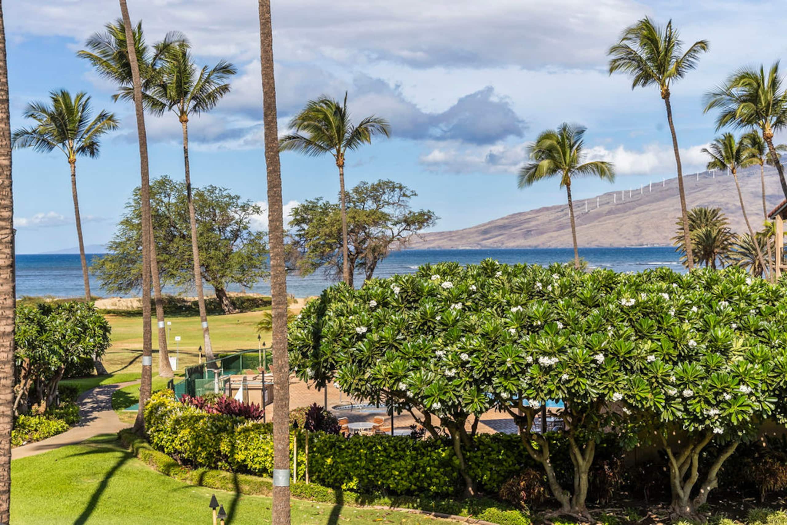 Condo in Kihei · ★4.91 · 2 bedrooms · 3 beds · 2 private baths - Image 57
