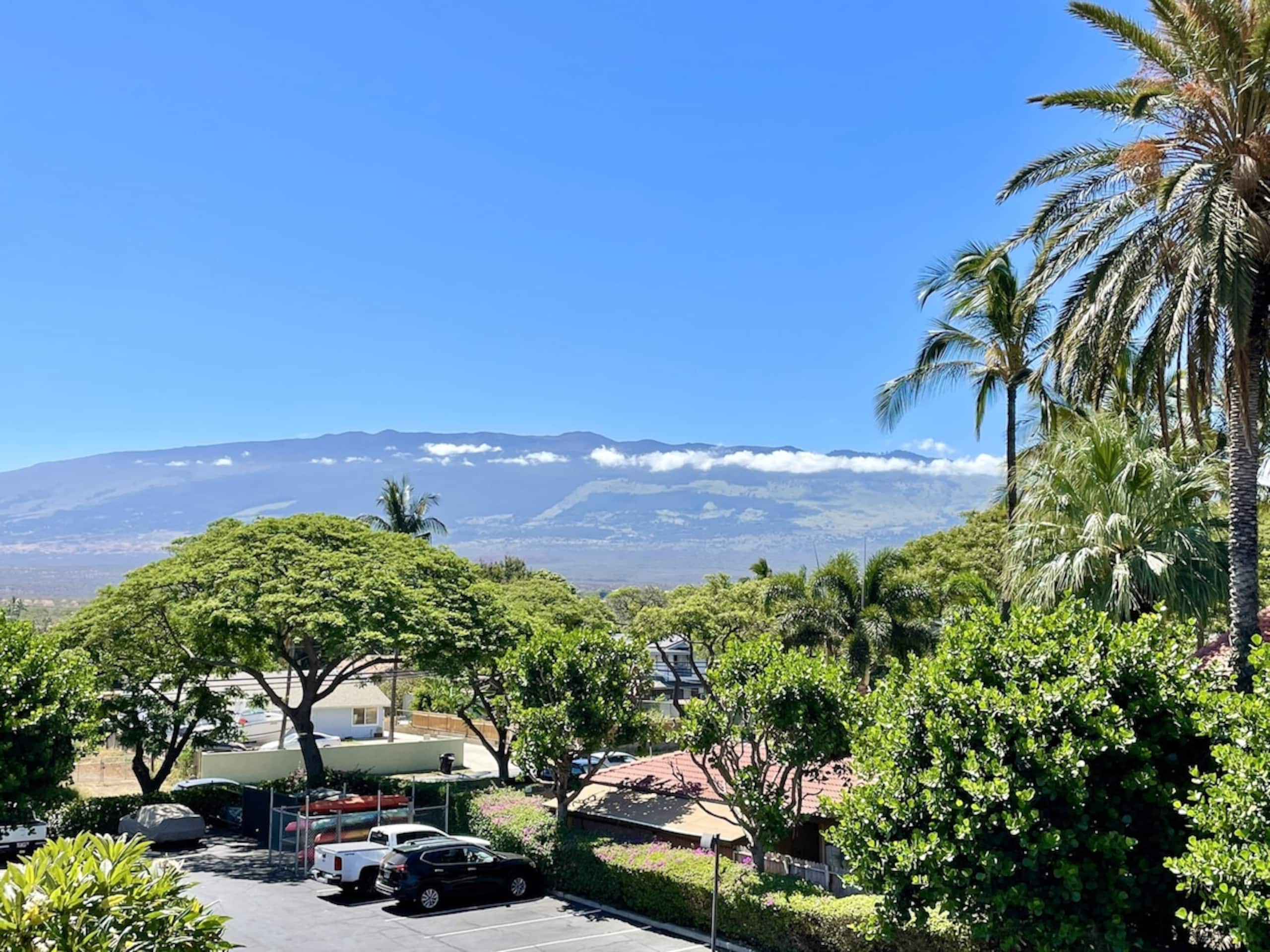 Condo in Kihei · ★4.91 · 2 bedrooms · 3 beds · 2 private baths - Image 60