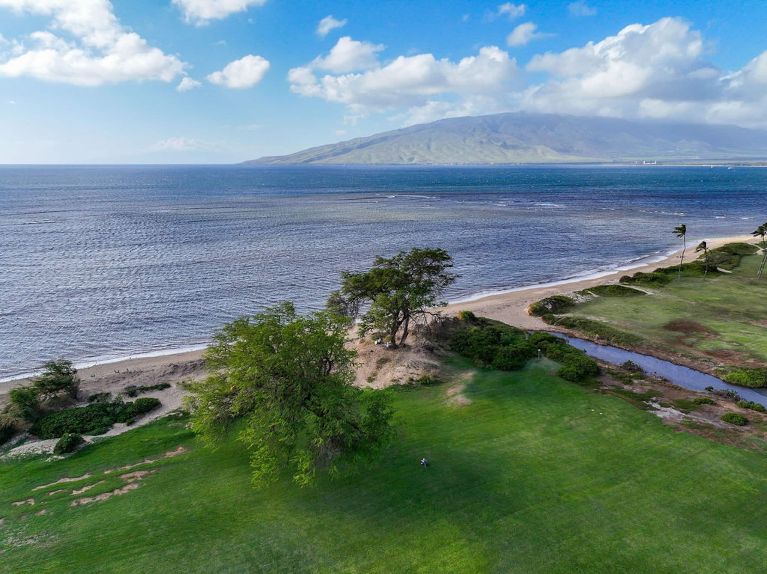 Condo in Kihei · ★4.91 · 2 bedrooms · 3 beds · 2 private baths - Image 77