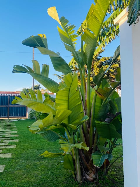 Sea Breeze Garden Villa