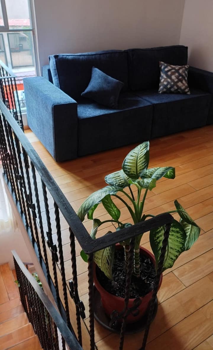 Casa Bella Cdmx Sur Coapa Coyoacán Jardín+parking - Mexico State