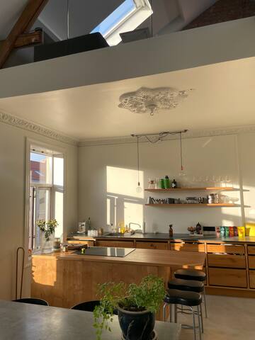 Big penthouse in old town Oslo gallery image 5