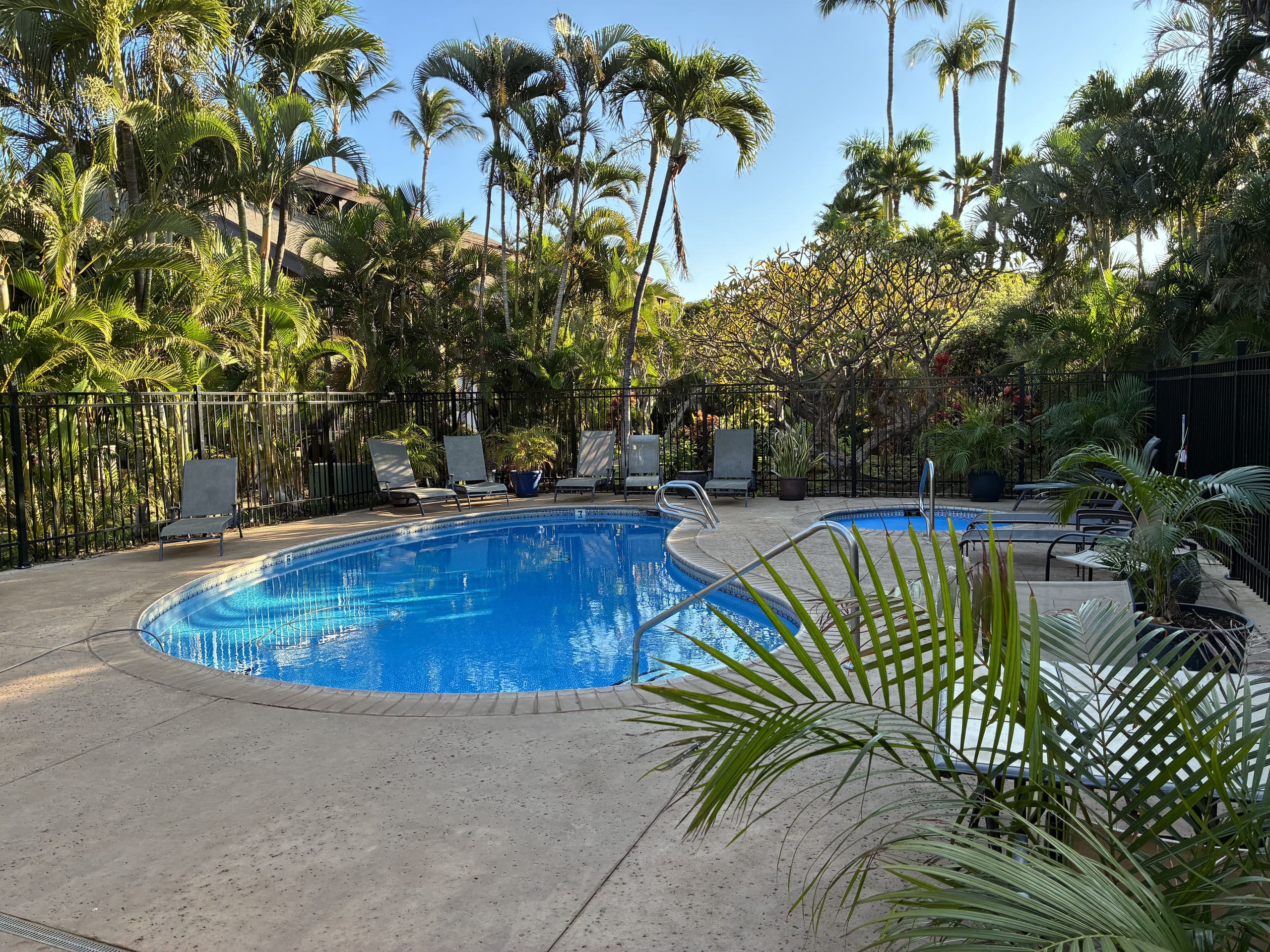 Condo in Kihei · ★4.94 · 1 bedroom · 2 beds · 1 private bath - Image 83