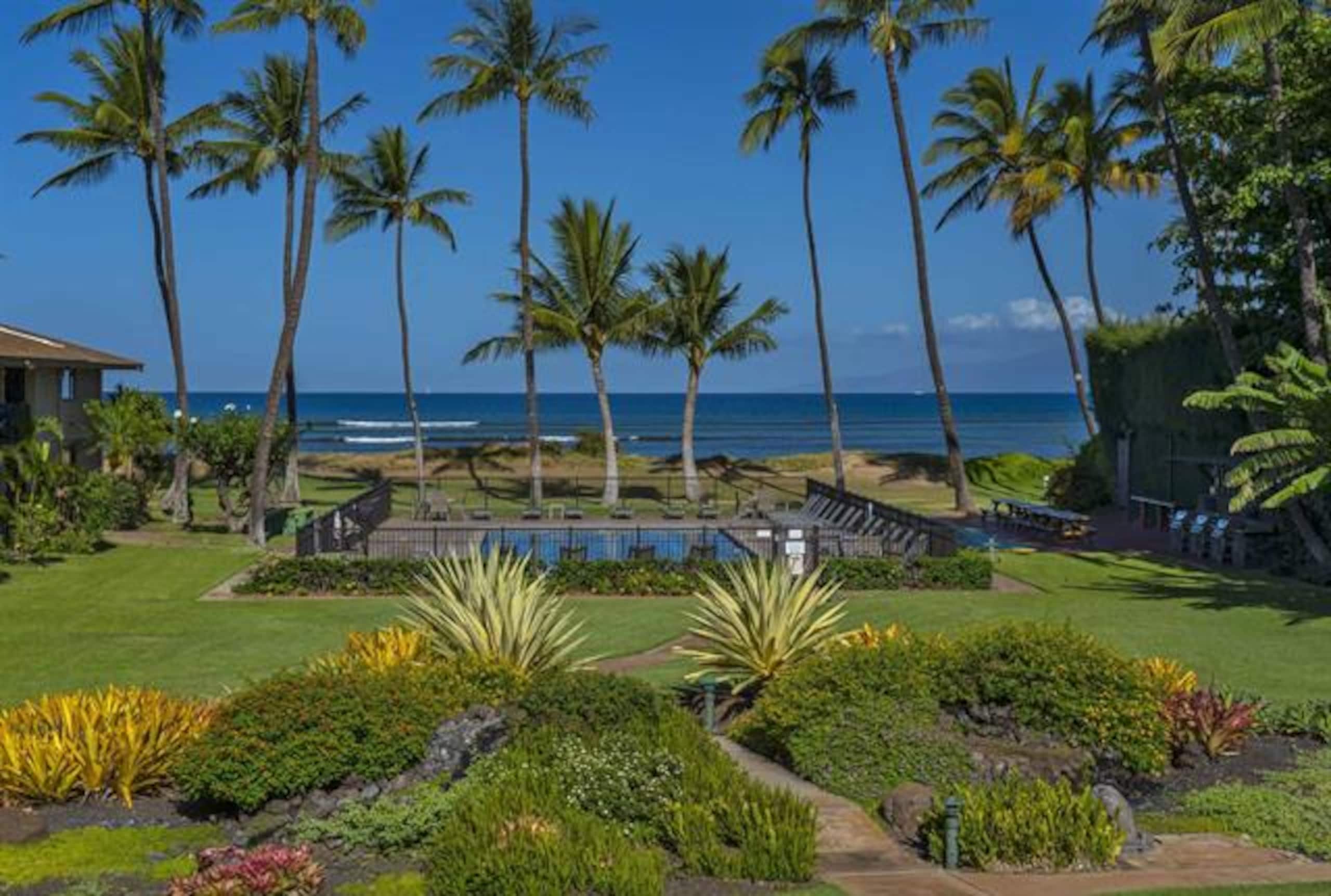 Condo in Kihei · ★4.84 · 1 bedroom · 2 beds · 1 private bath - Image 22