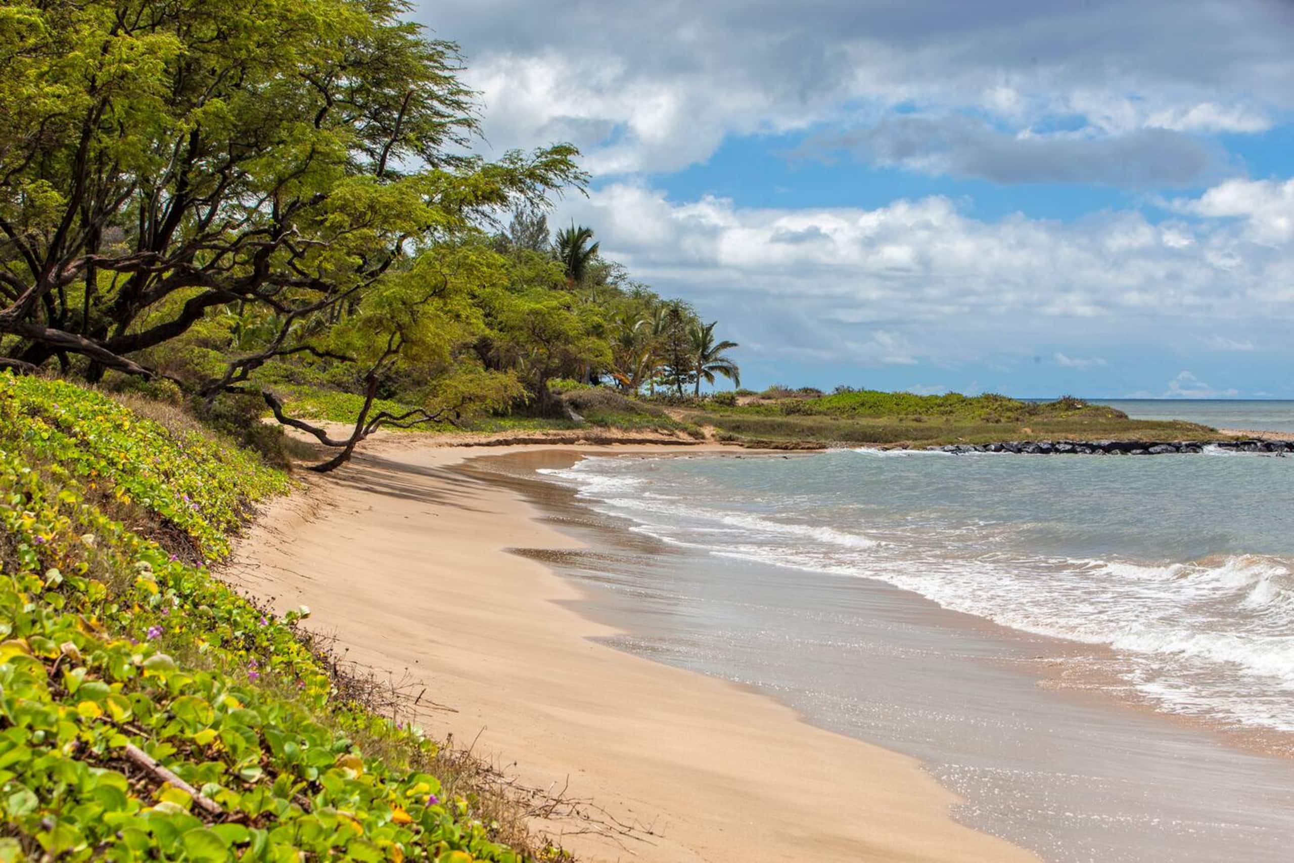 Condo in Kihei · ★4.84 · 1 bedroom · 2 beds · 1 private bath - Image 27