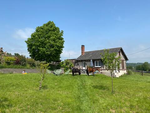 Gîte familial au coeur d'un haras