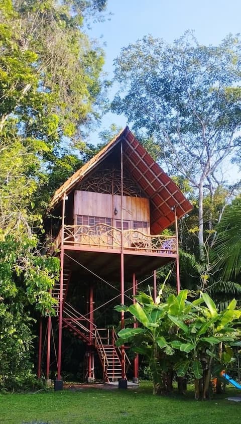 Rainforest Tree House with Hot Springs