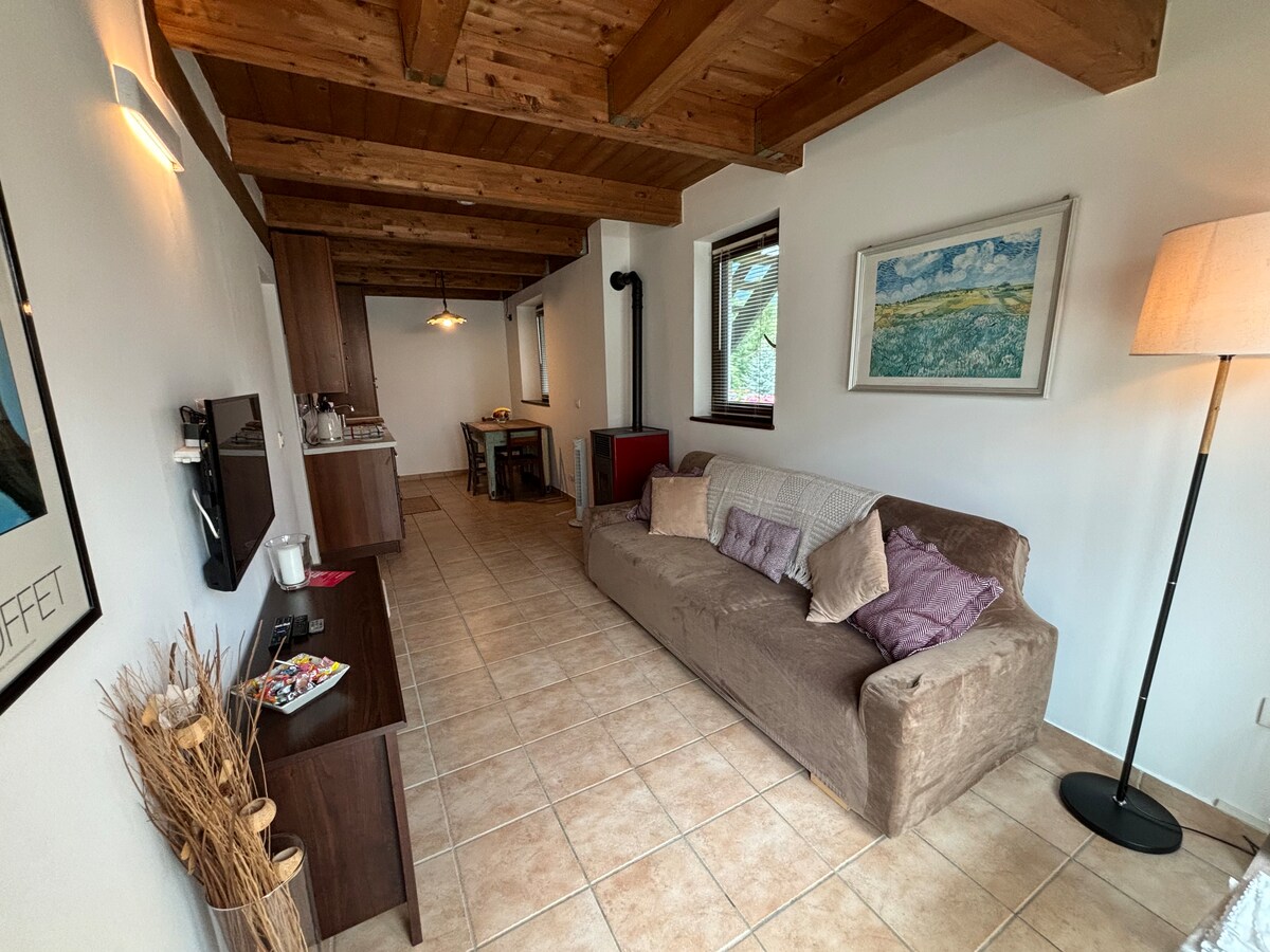 Successful Airbnb property: Two-room apartment with courtyard, sleeps 3, in Valle Elvo in Biella