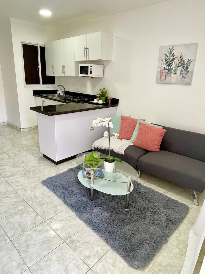 Cómodo Aparta Estudio, En El Centro De La Ciudad. - Santo Domingo