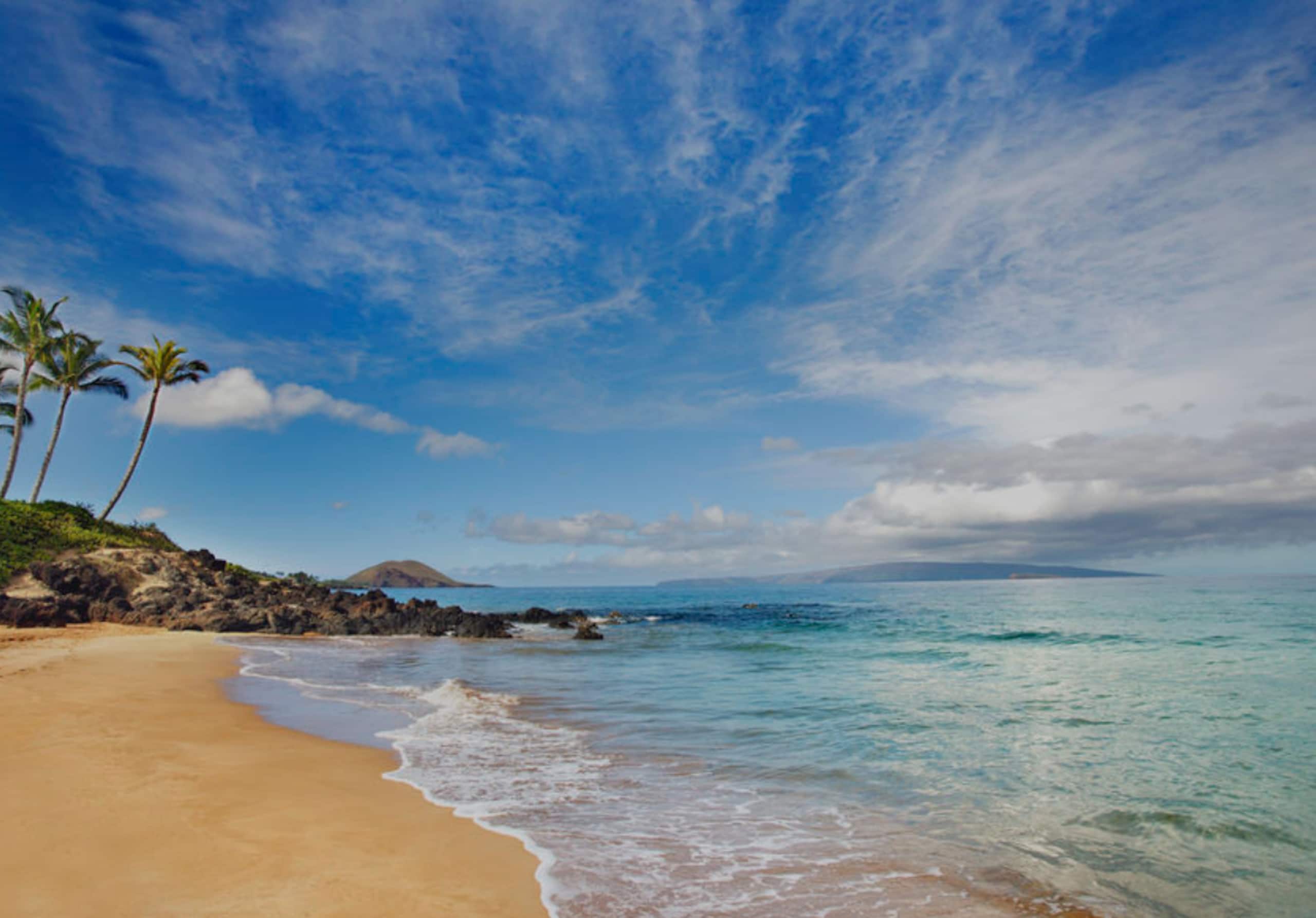 Condo in Kihei · ★4.84 · 1 bedroom · 2 beds · 1 private bath - Image 46