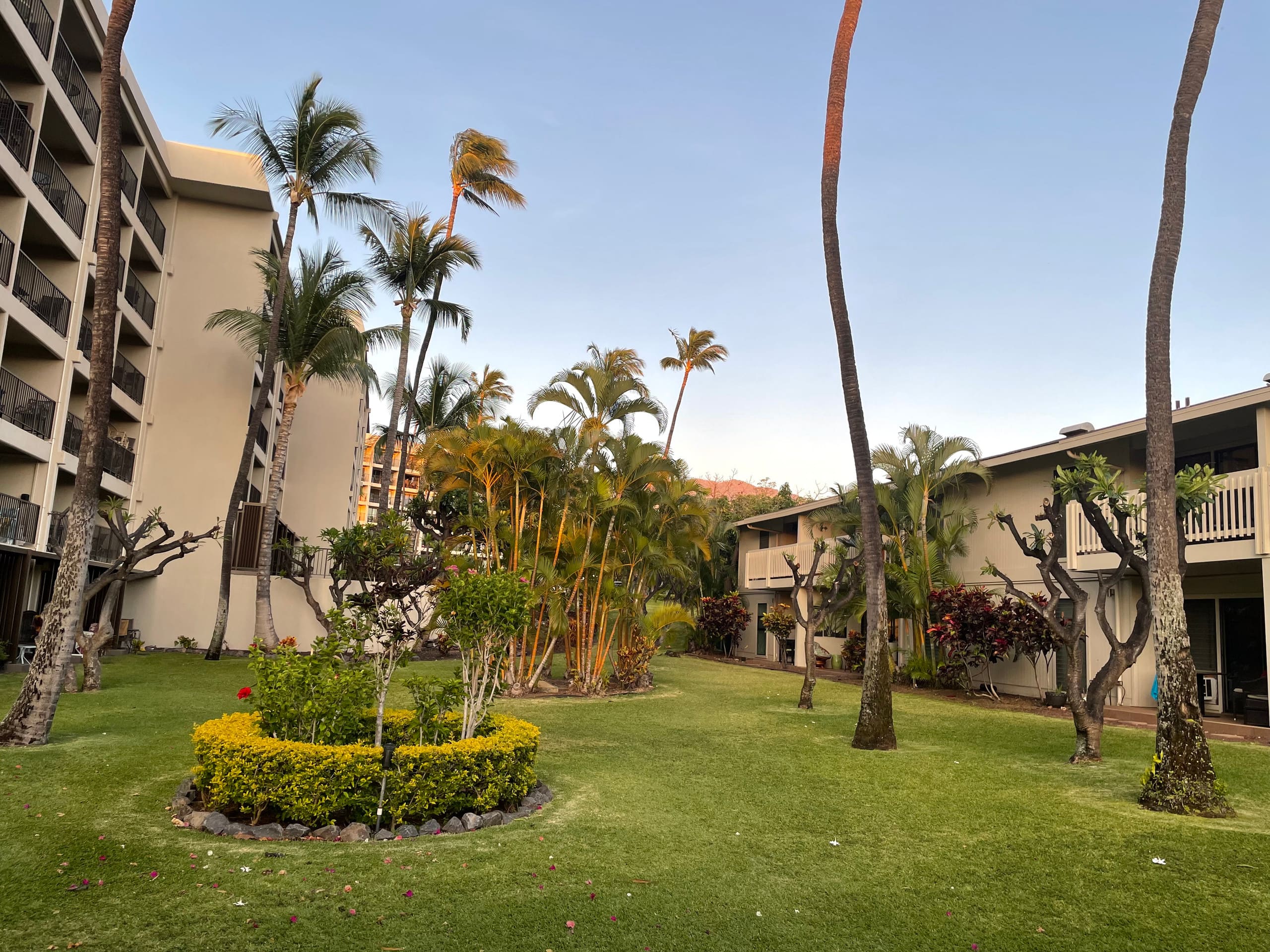 Condo in Kihei · ★4.84 · 1 bedroom · 2 beds · 1 private bath - Image 22