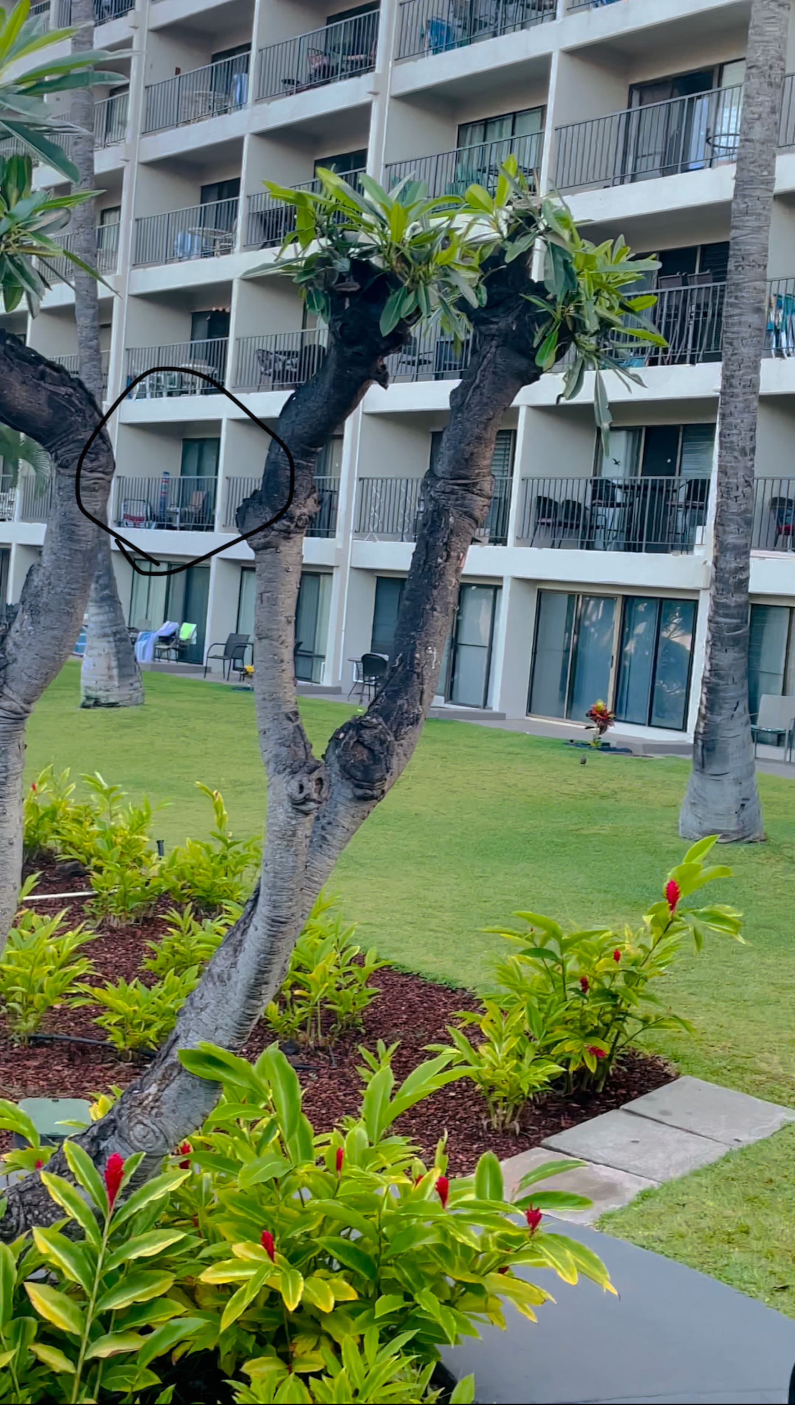 Condo in Kihei · ★4.84 · 1 bedroom · 2 beds · 1 private bath - Image 21