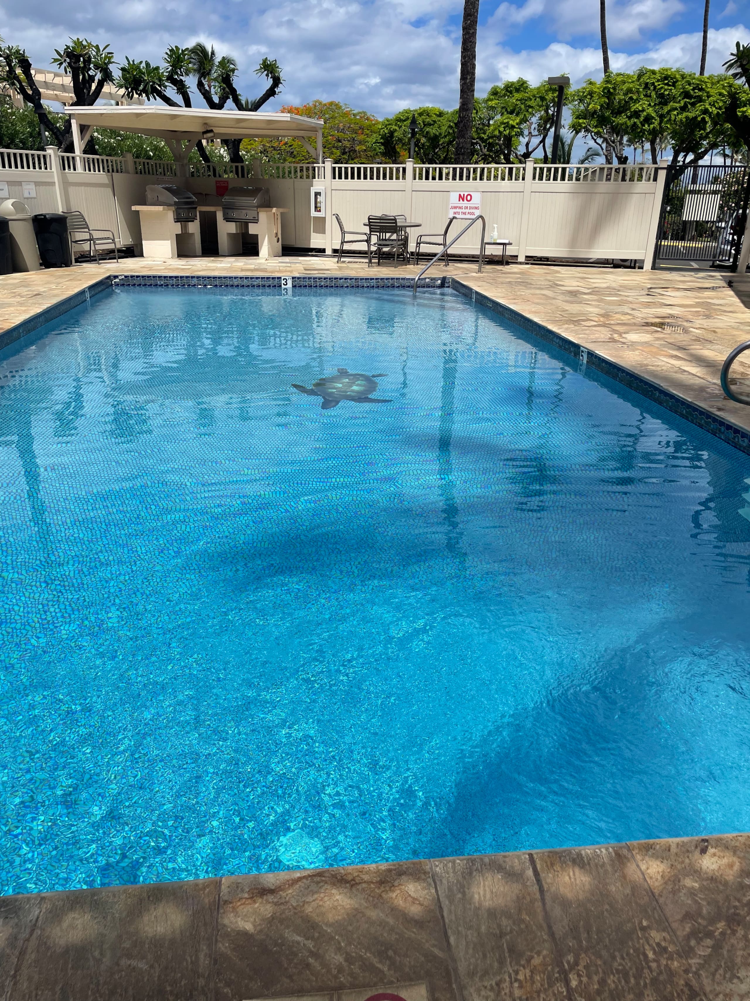 Condo in Kihei · ★4.84 · 1 bedroom · 2 beds · 1 private bath - Image 56