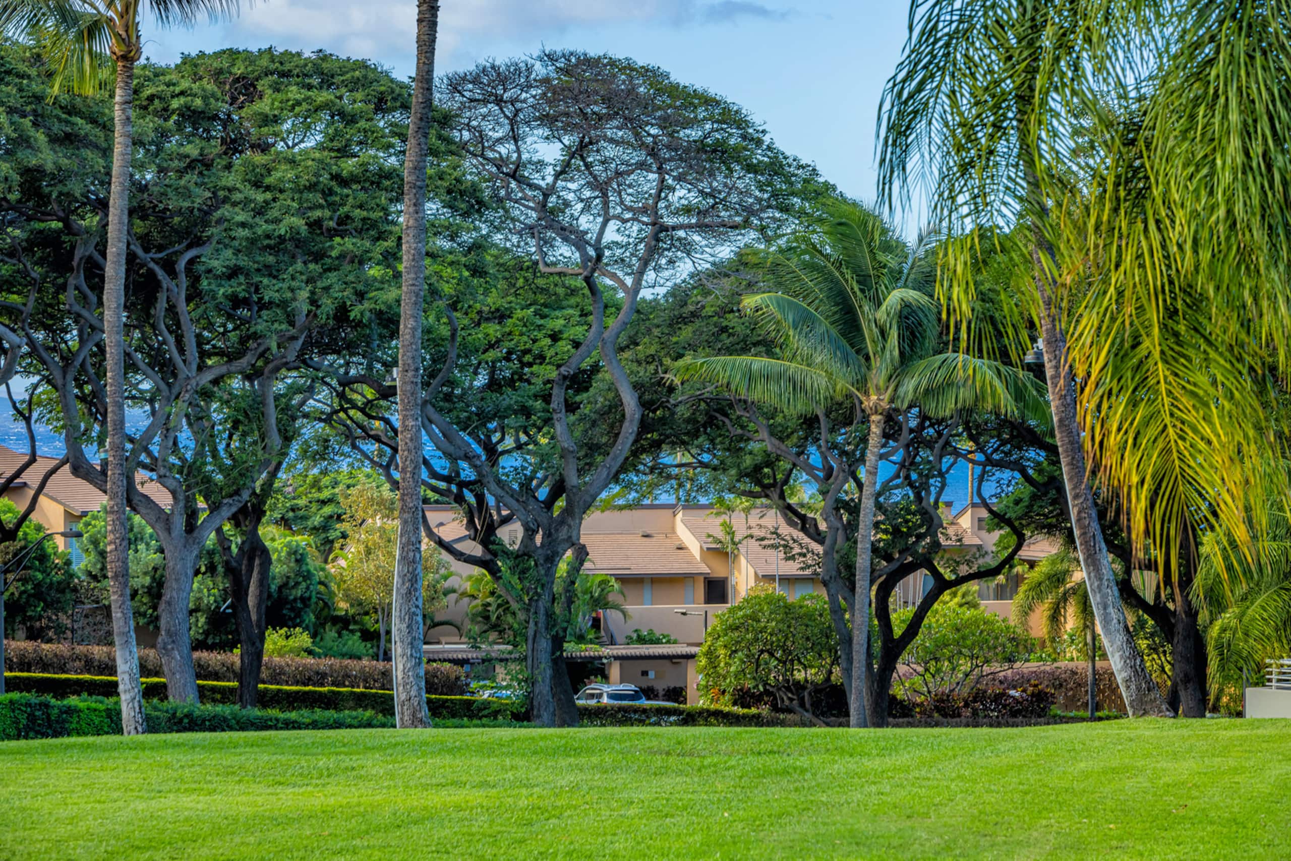 Condo in Kihei · ★5.0 · 2 bedrooms · 3 beds · 2 baths - Image 22
