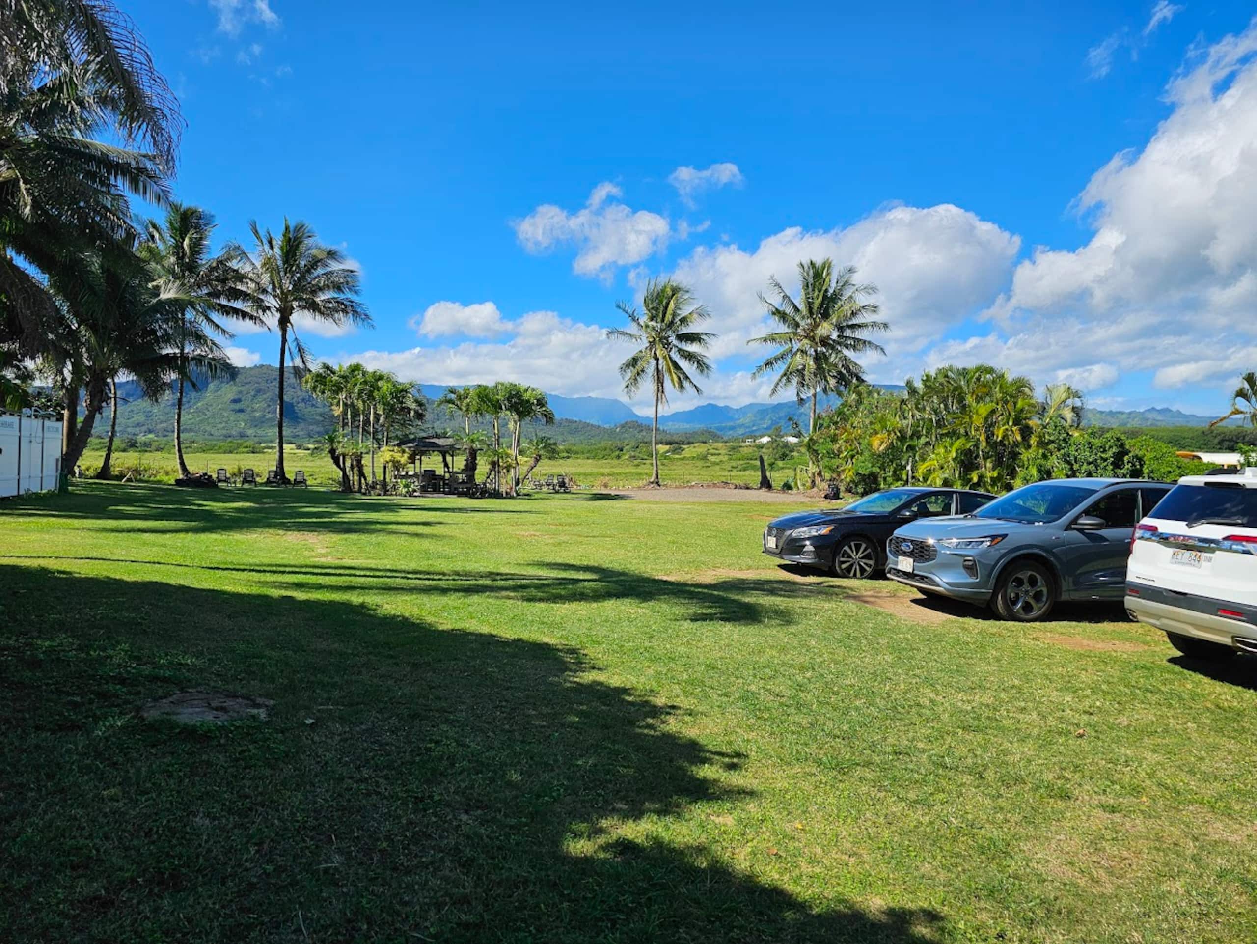 Δ Cozy & Compact 1BR  5 min to Ocean - Photo 48