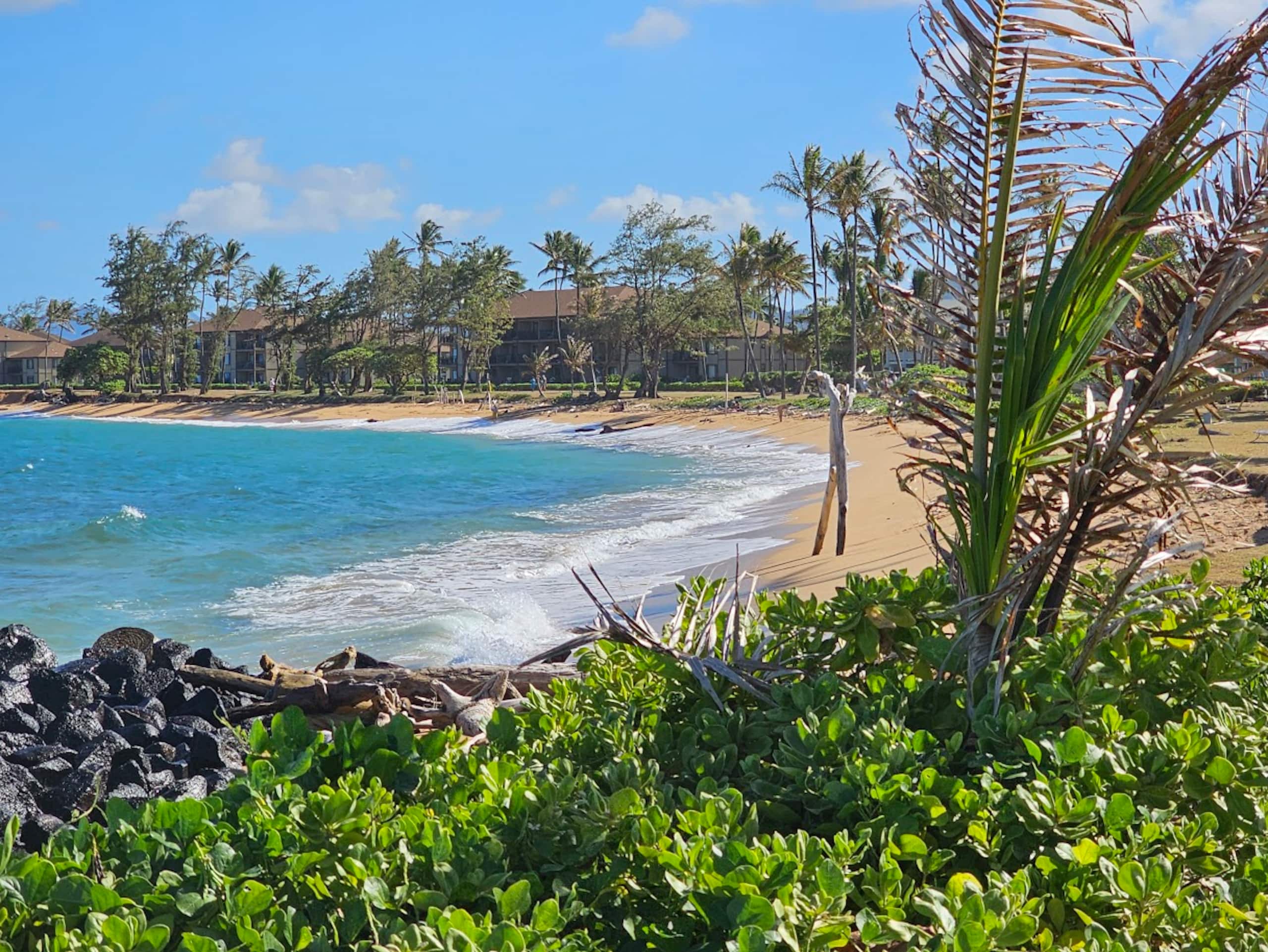 Δ Cozy & Compact 1BR  5 min to Ocean - Photo 47