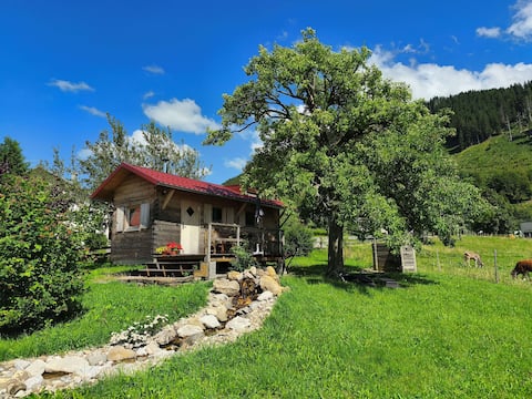 Coziest Tiny House in the Oberallgäu