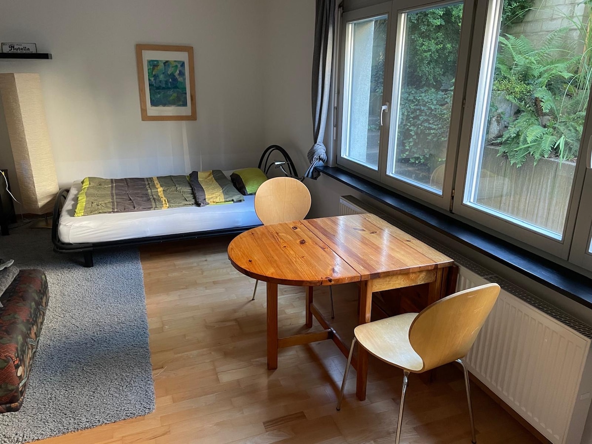 The image shows a spacious room with a large window overlooking greenery. A single bed with a simple design is positioned against one wall. A wooden table with two chairs occupies the center of the room, and a cozy rug is placed on the wooden floor.
