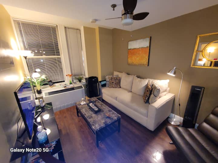 Very comfortable coach and cozy side chair. Couch can easily sleep someone up to 7' tall. Tall air purifier and ceiling fan to move air around and keep you cool.