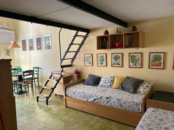 Il Mare Sui Tetti
Cod. Cin It011017c248rxucic - Levanto