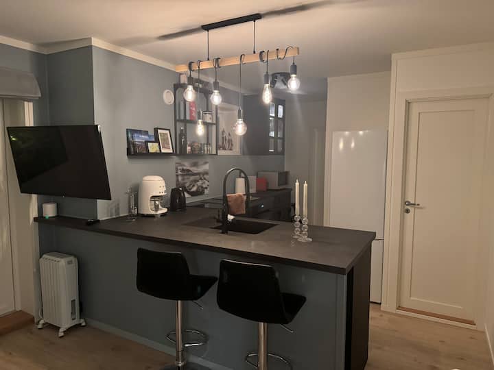 Tromsø Sentralt. Nyrenovert Og Praktisk Leilighet. - Tromsø