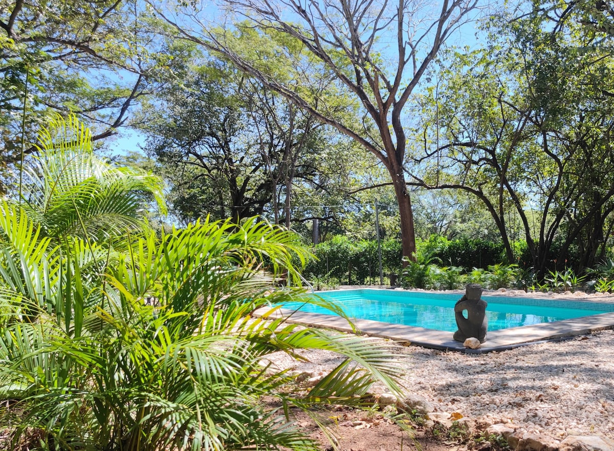 A serene outdoor space features a crystal-clear swimming pool surrounded by lush greenery. Tall trees provide natural shade, while textured stones line the pool's edge. A decorative sculpture sits near the water, complementing the tranquil setting.