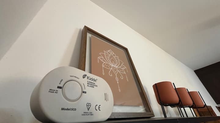 Carbon monoxide detector/fire alarm