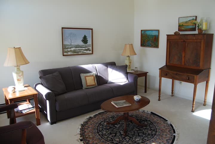 Study or sitting room with sleep sofa.
