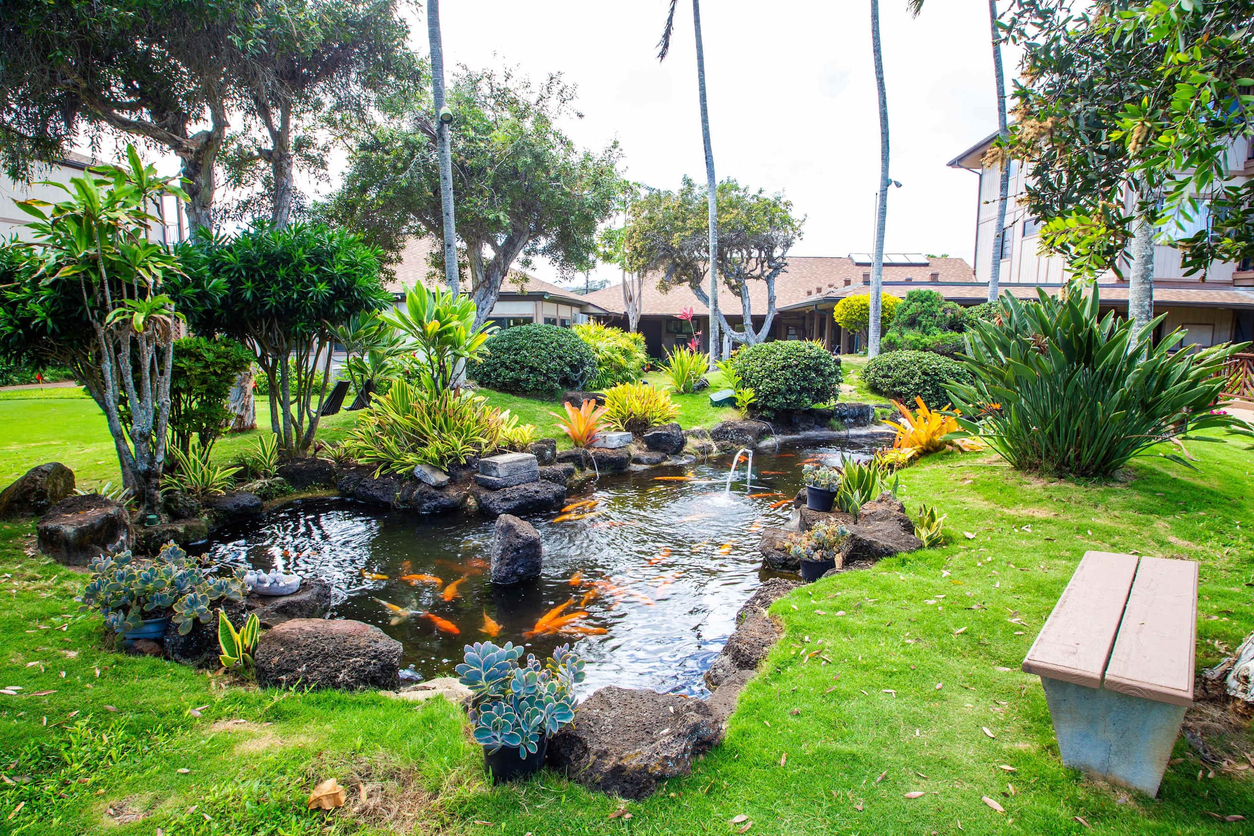 Condo in Kapaa · ★4.65 · 1 bedroom · 2 beds · 1 shared bath - Image 34