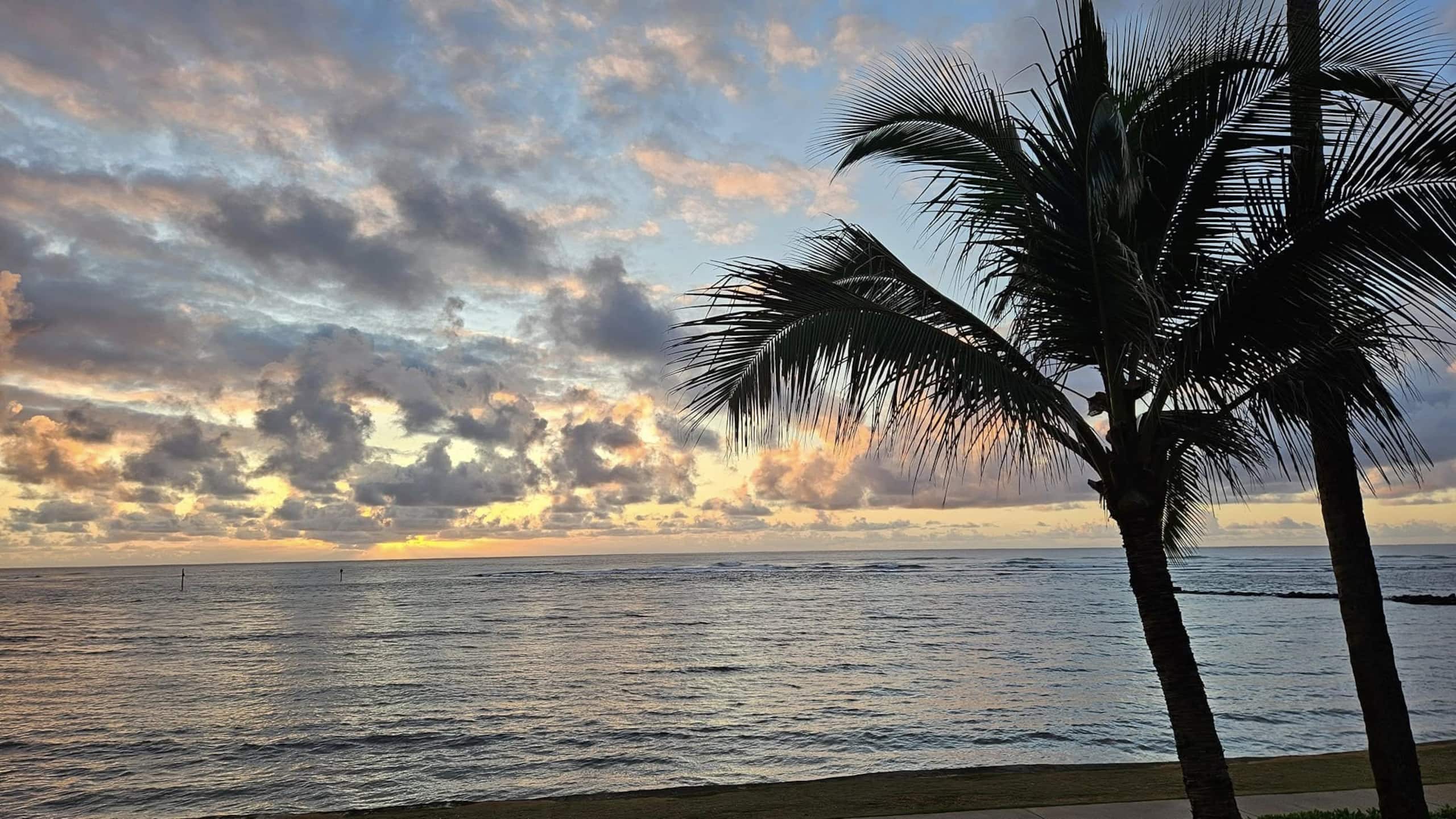 Condo in Kapaa · ★4.65 · 1 bedroom · 2 beds · 1 shared bath - Image 48